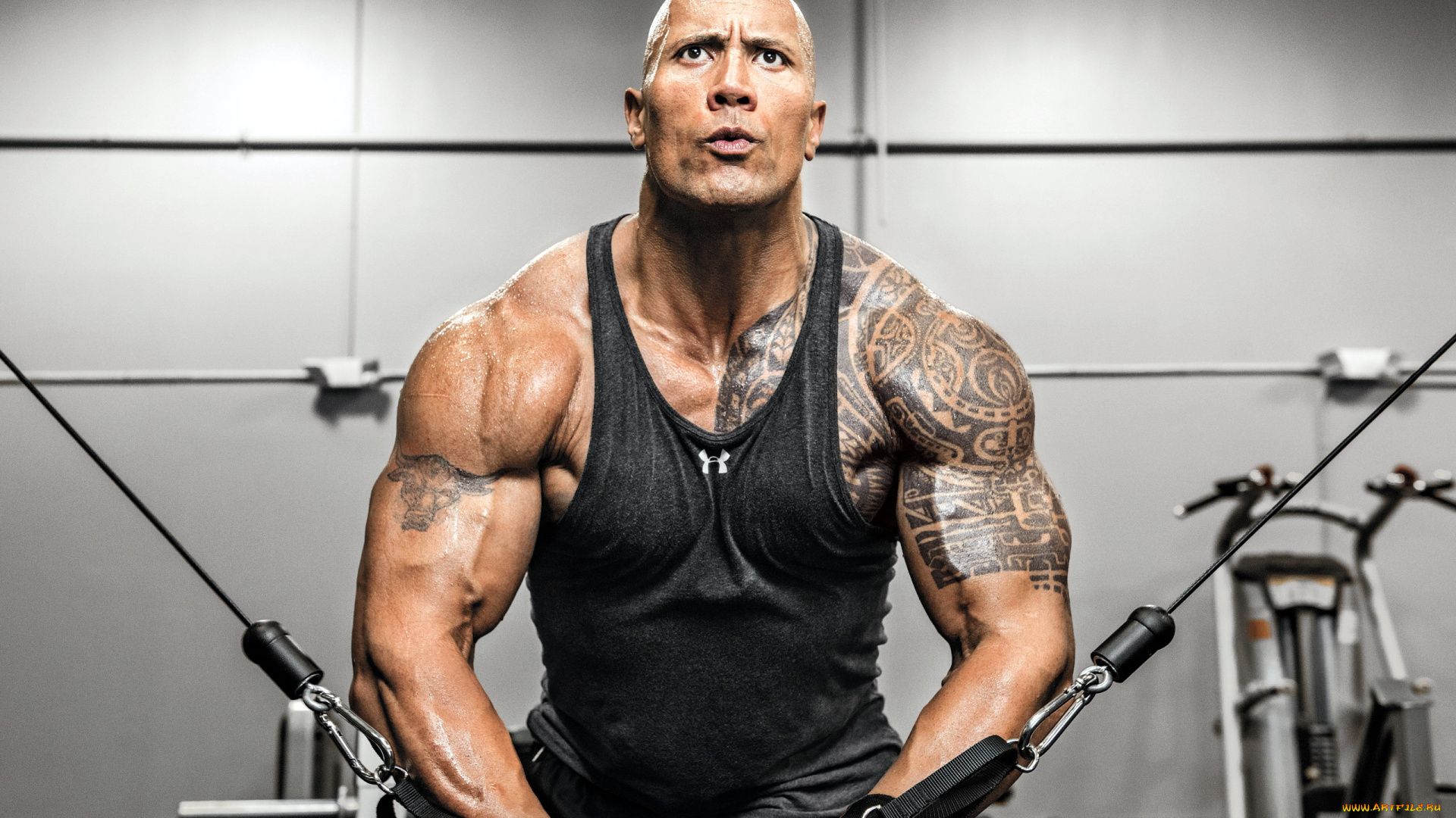 мужчины, dwayne, johnson, , the, rock, тату, атлет