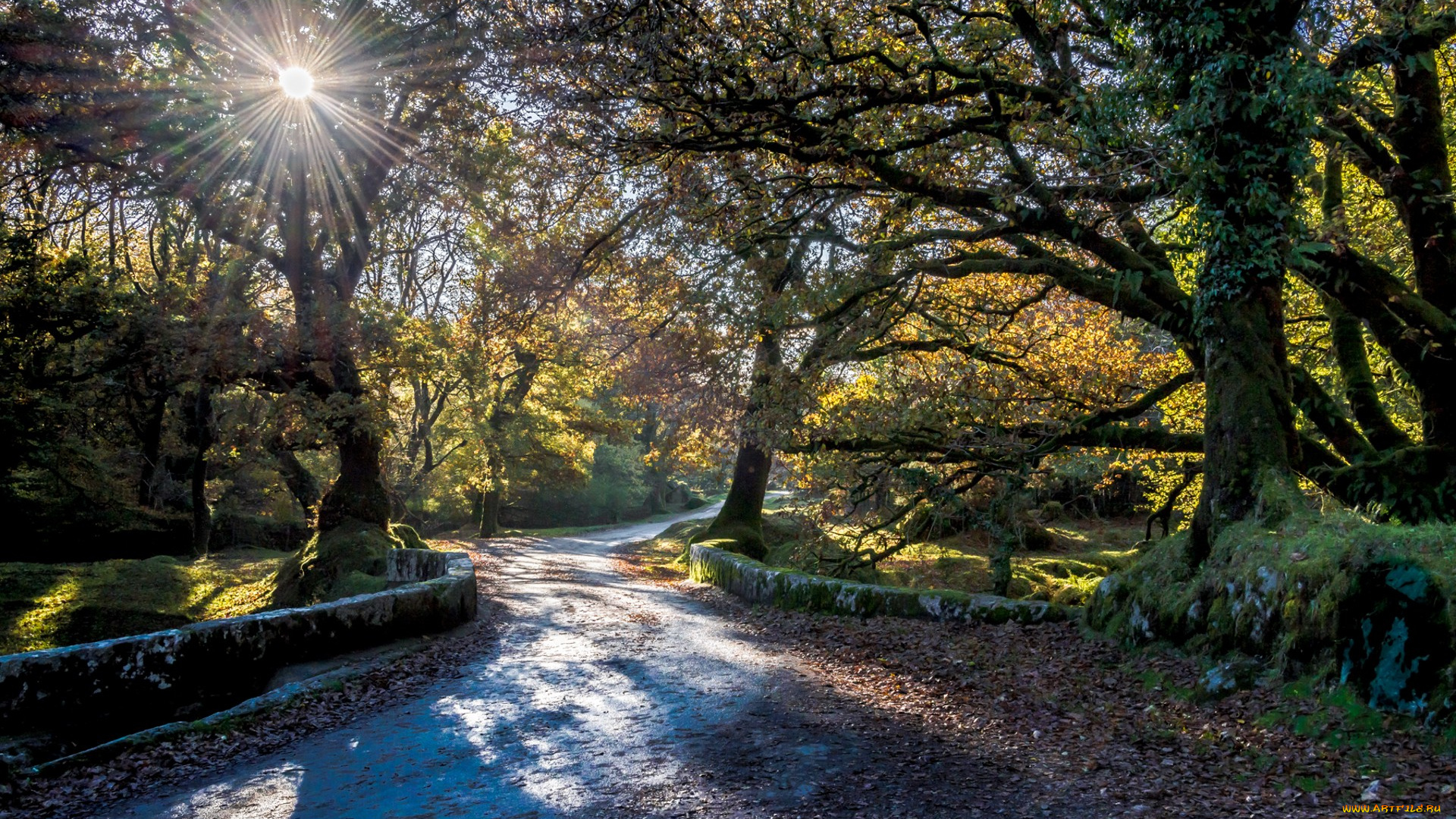 природа, дороги, простор