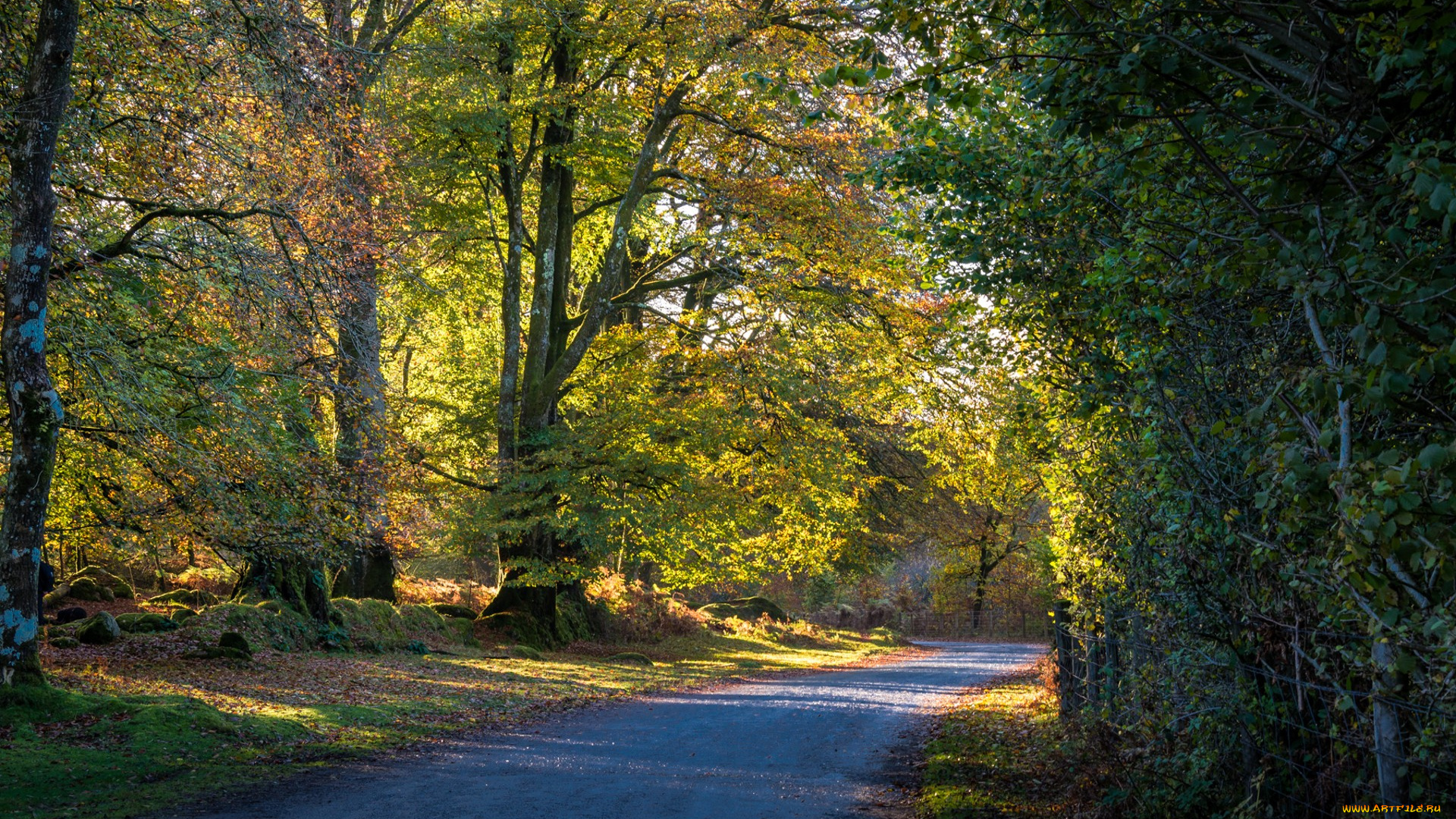 природа, дороги, простор