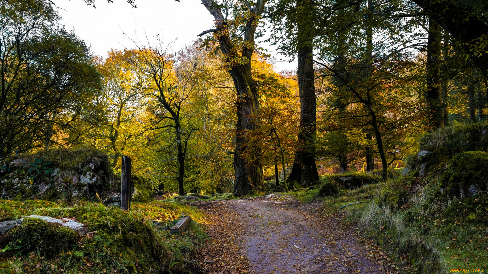 природа, дороги, простор