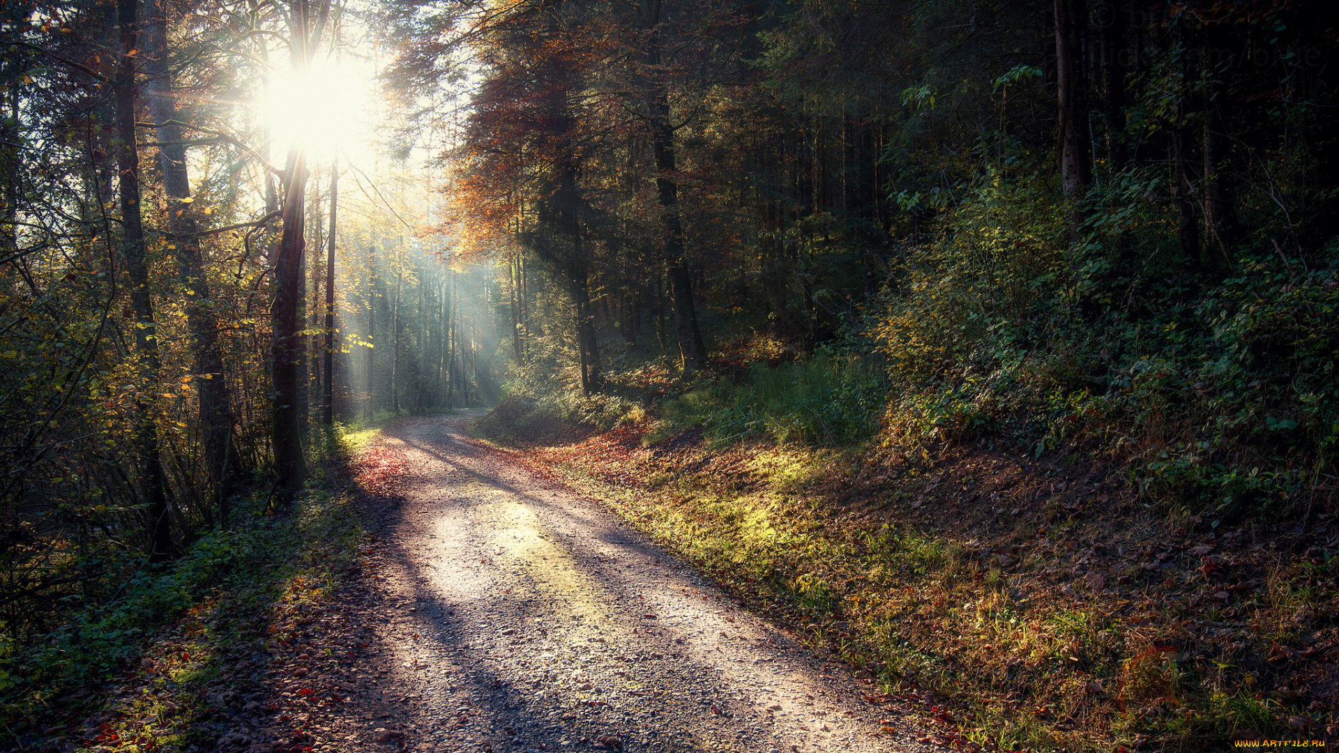 природа, дороги, простор