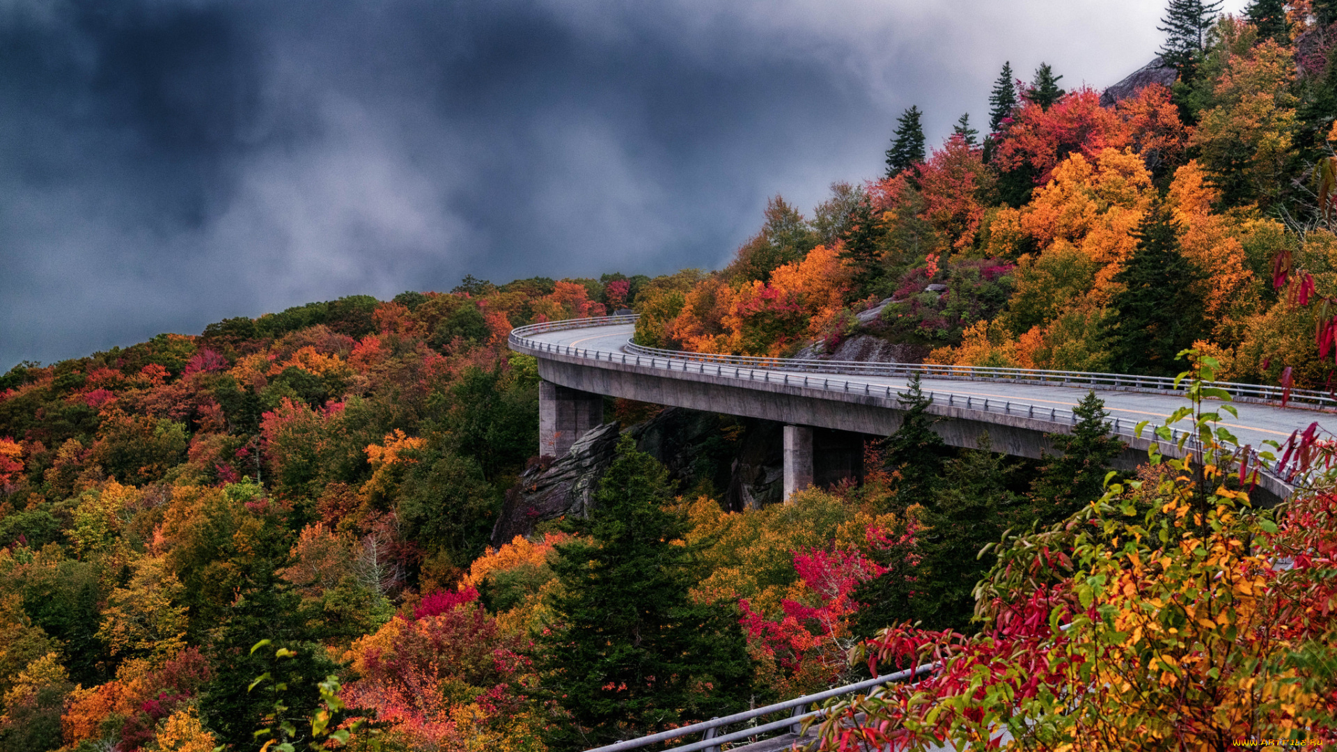 природа, дороги, простор