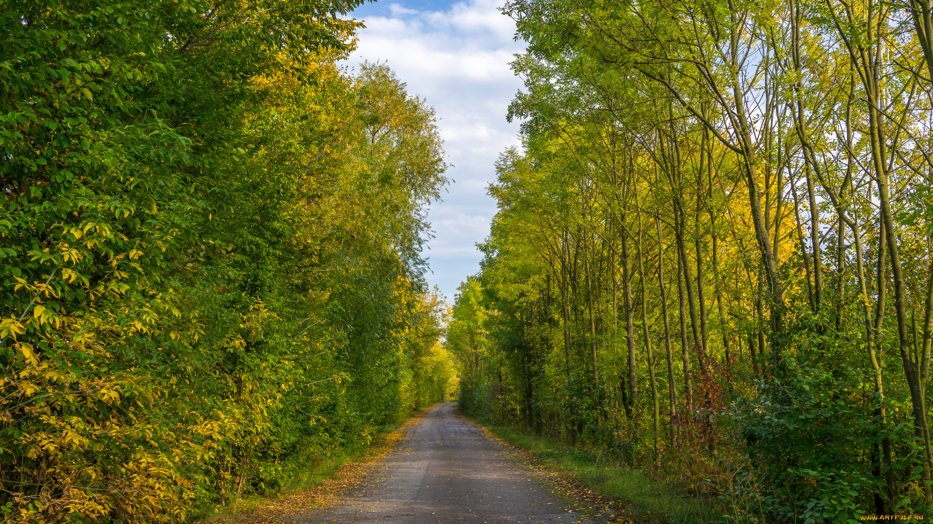 природа, дороги, простор