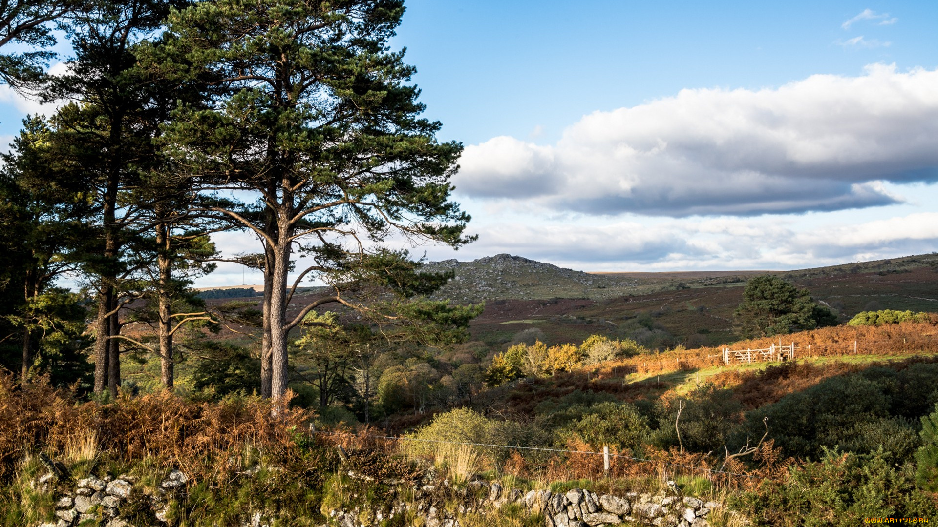природа, пейзажи, простор