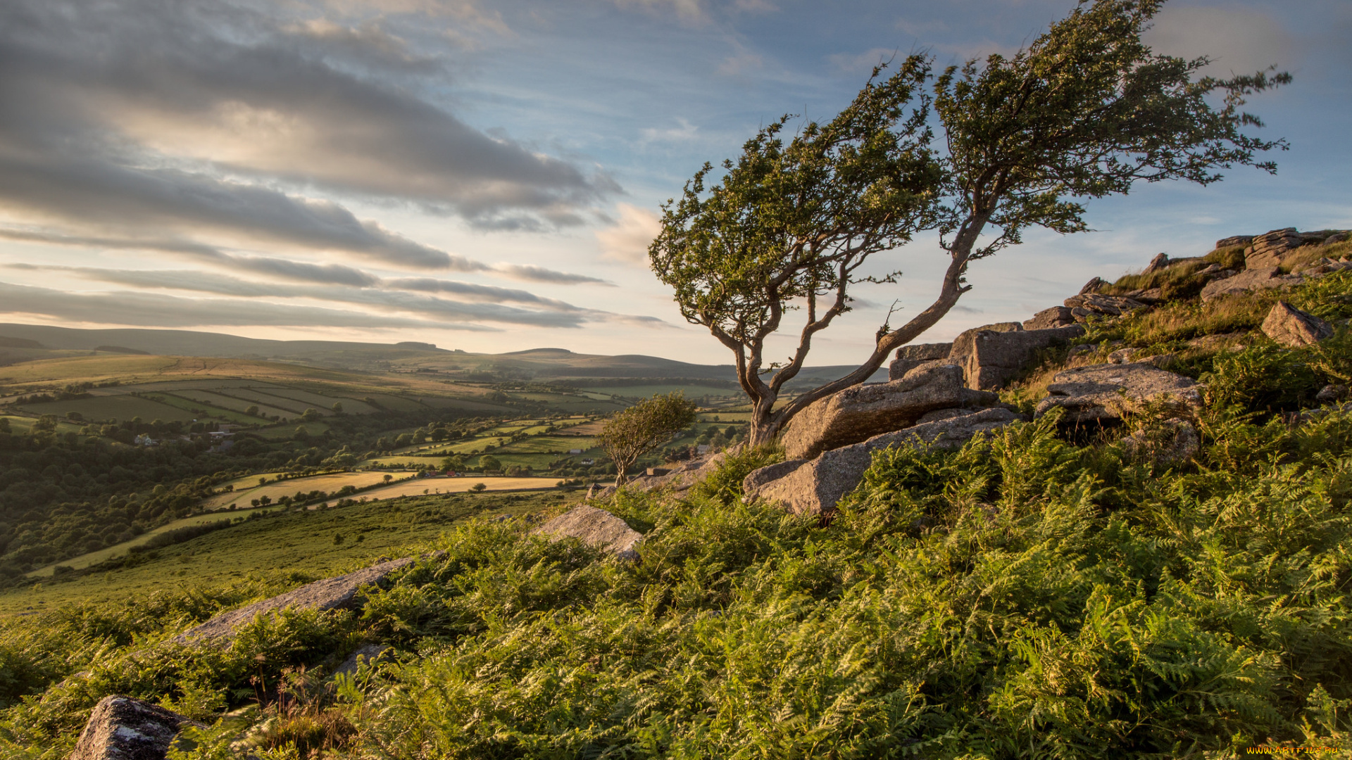 природа, пейзажи, простор