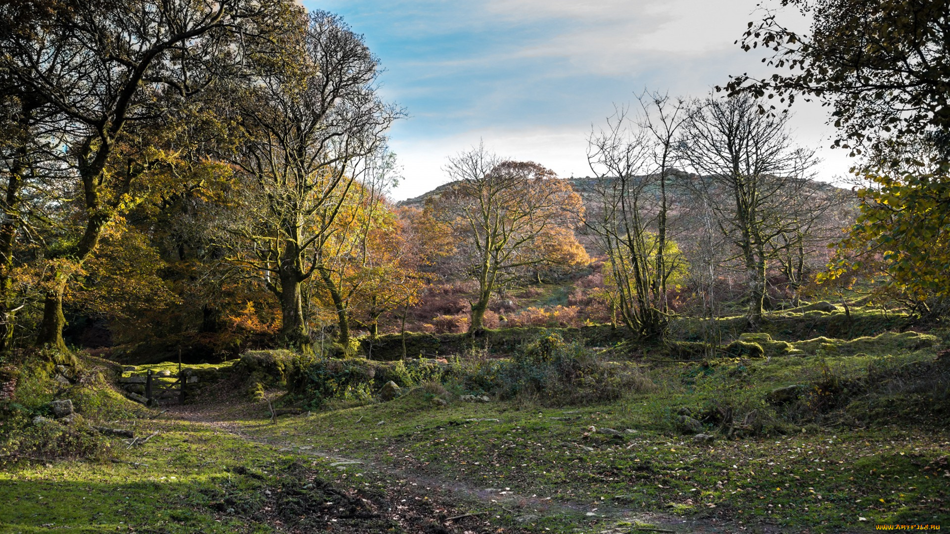 природа, пейзажи, простор