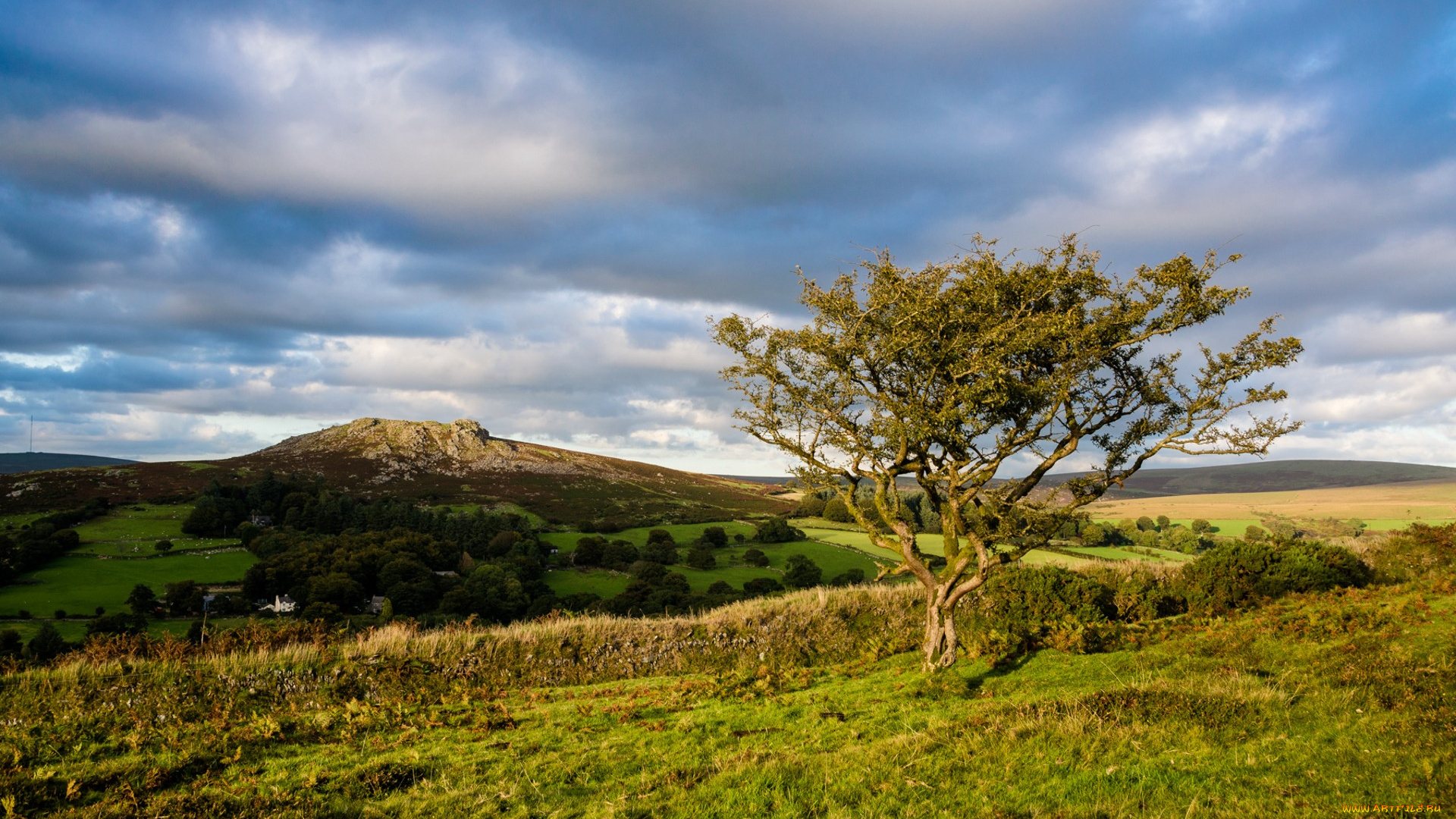 природа, пейзажи, простор
