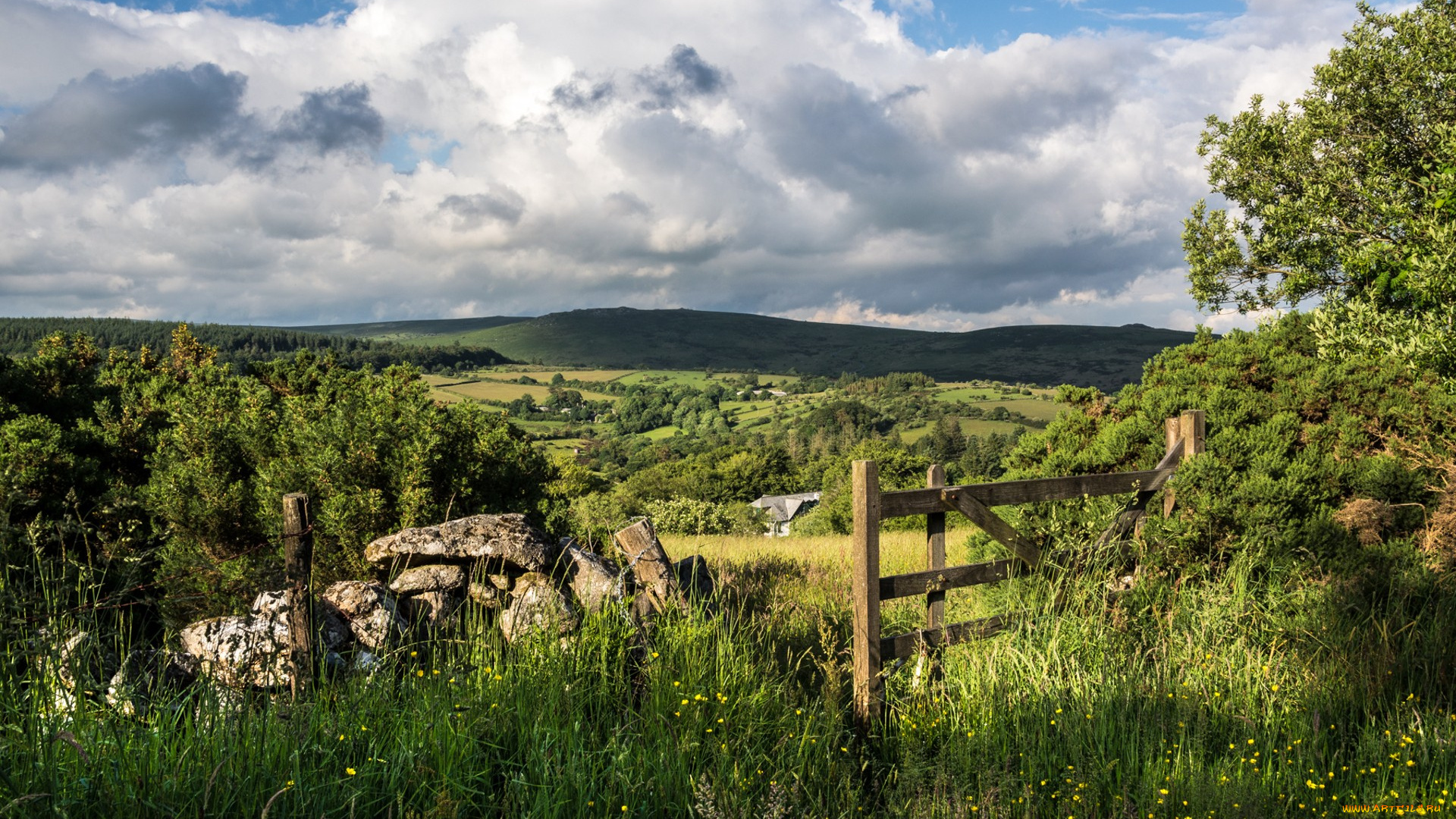 природа, пейзажи, простор