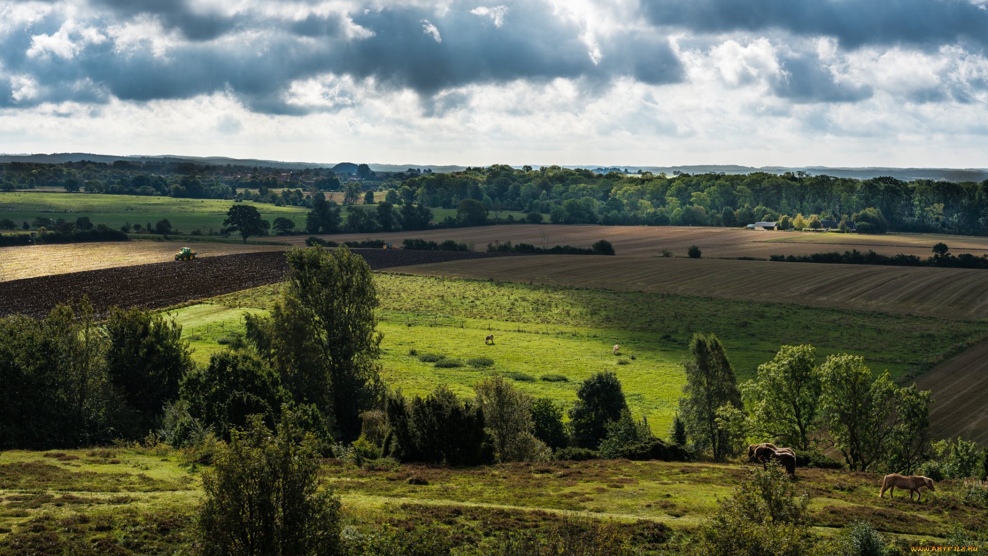 природа, пейзажи, простор