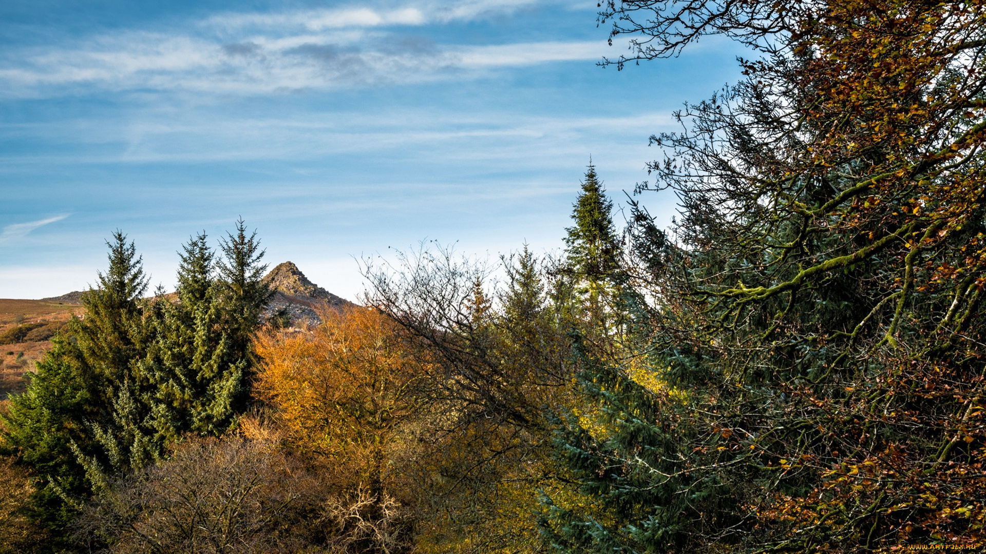 природа, пейзажи, простор