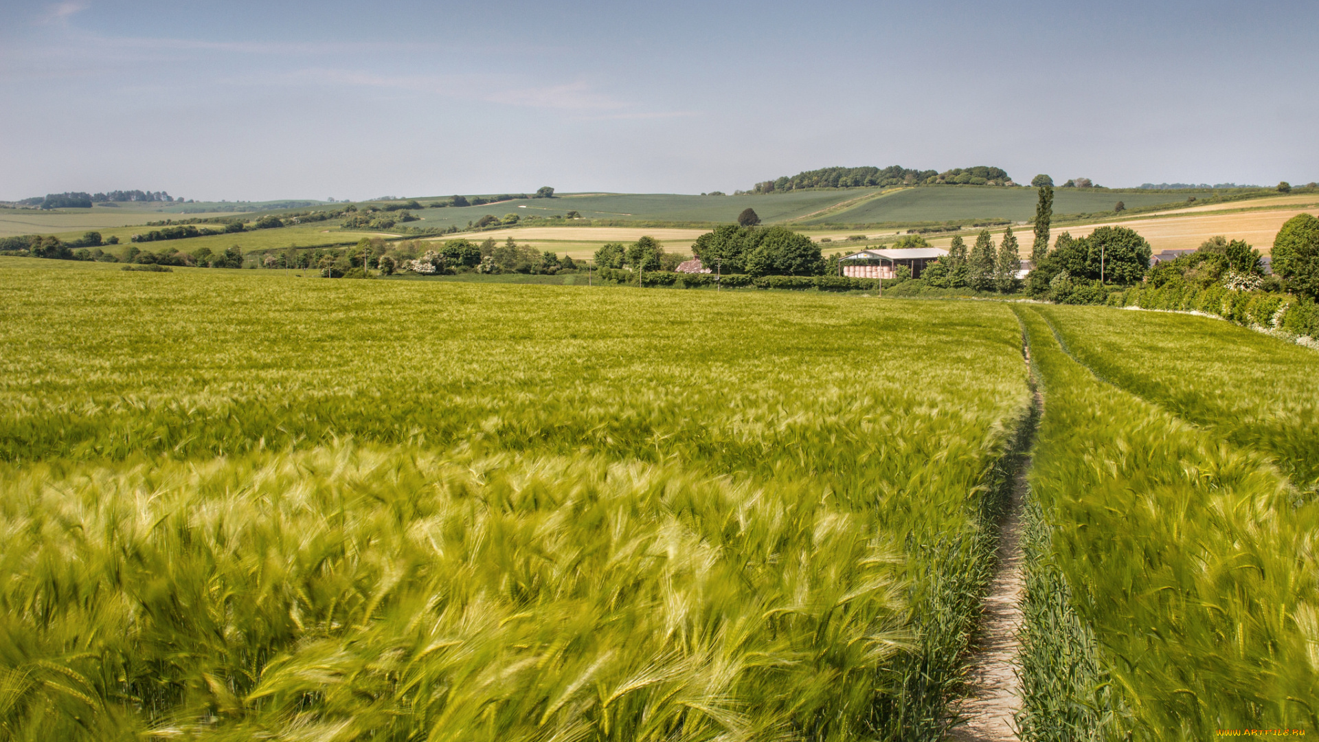 природа, поля, простор