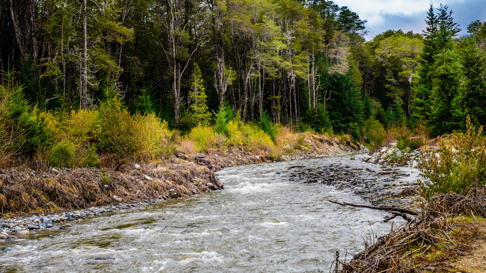природа, реки, озера, простор