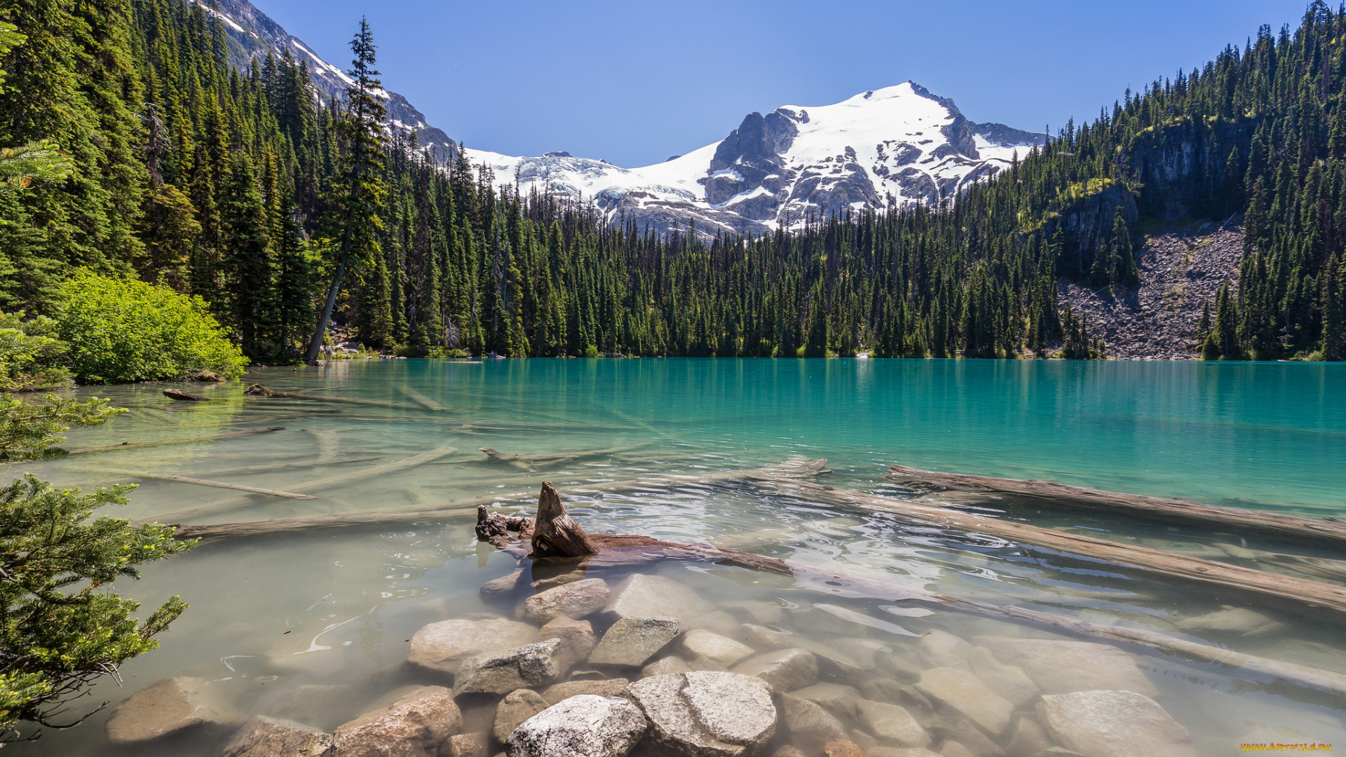 природа, реки, озера, простор