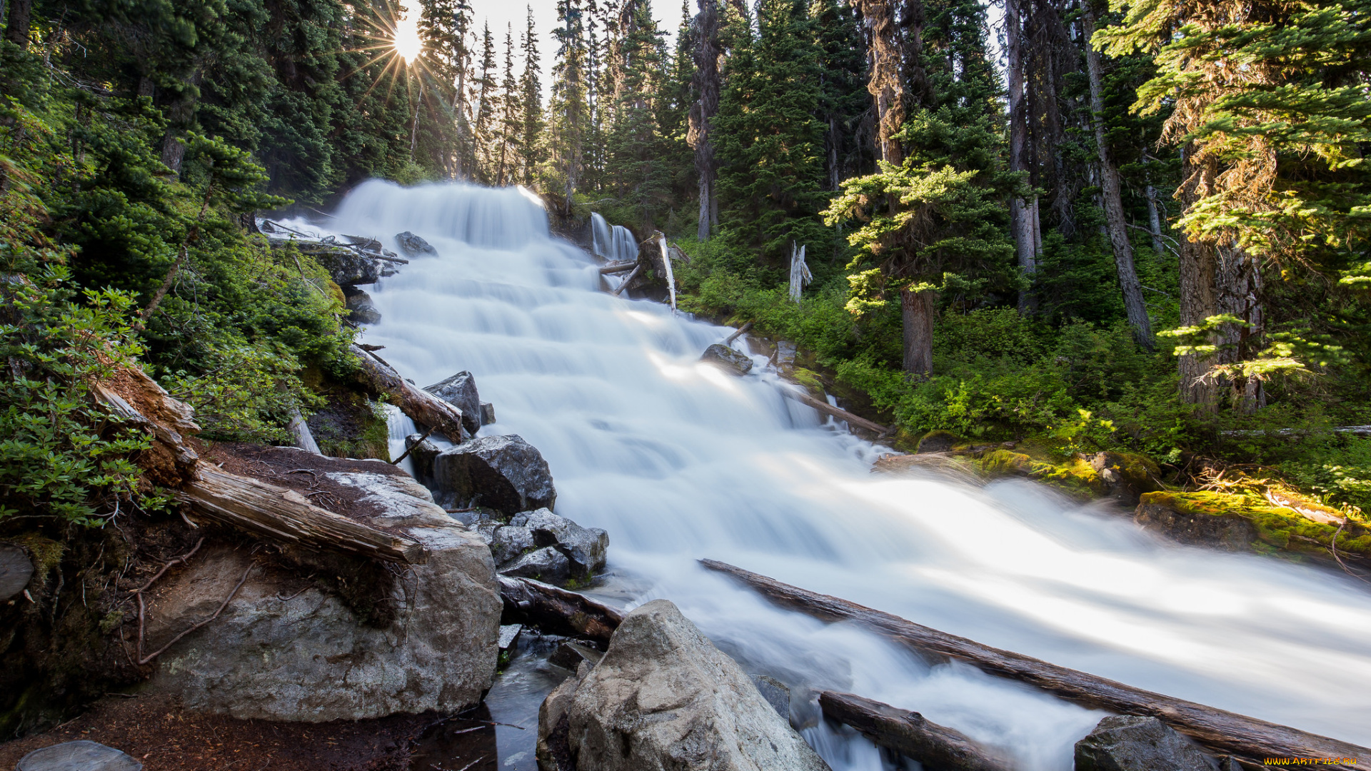 природа, реки, озера, простор