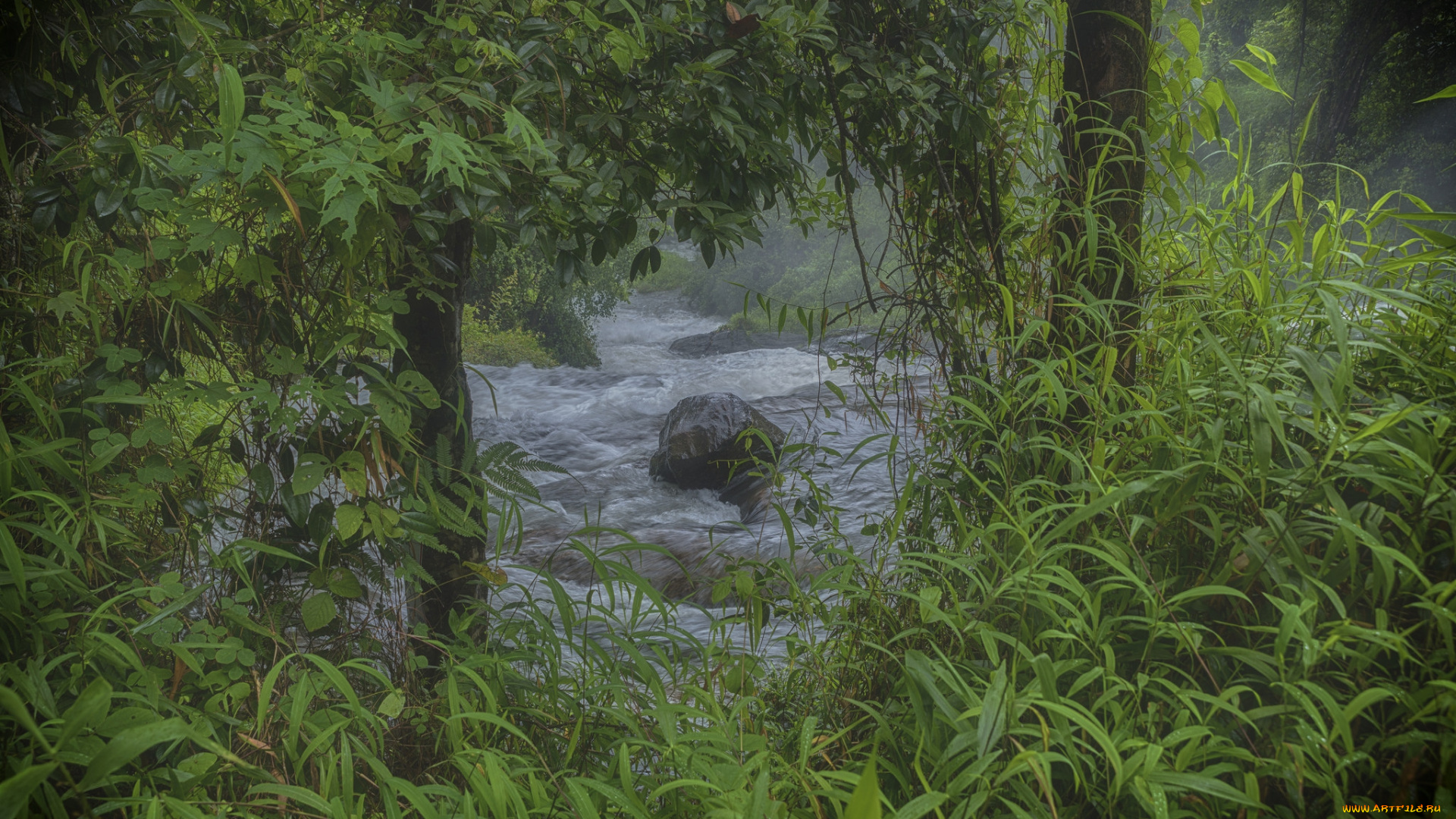 природа, реки, озера, простор