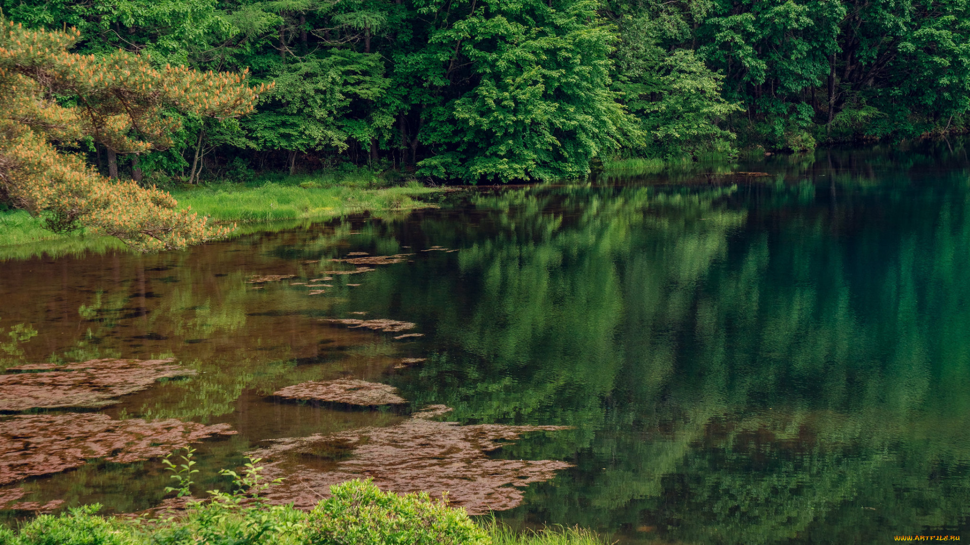 природа, реки, озера, простор