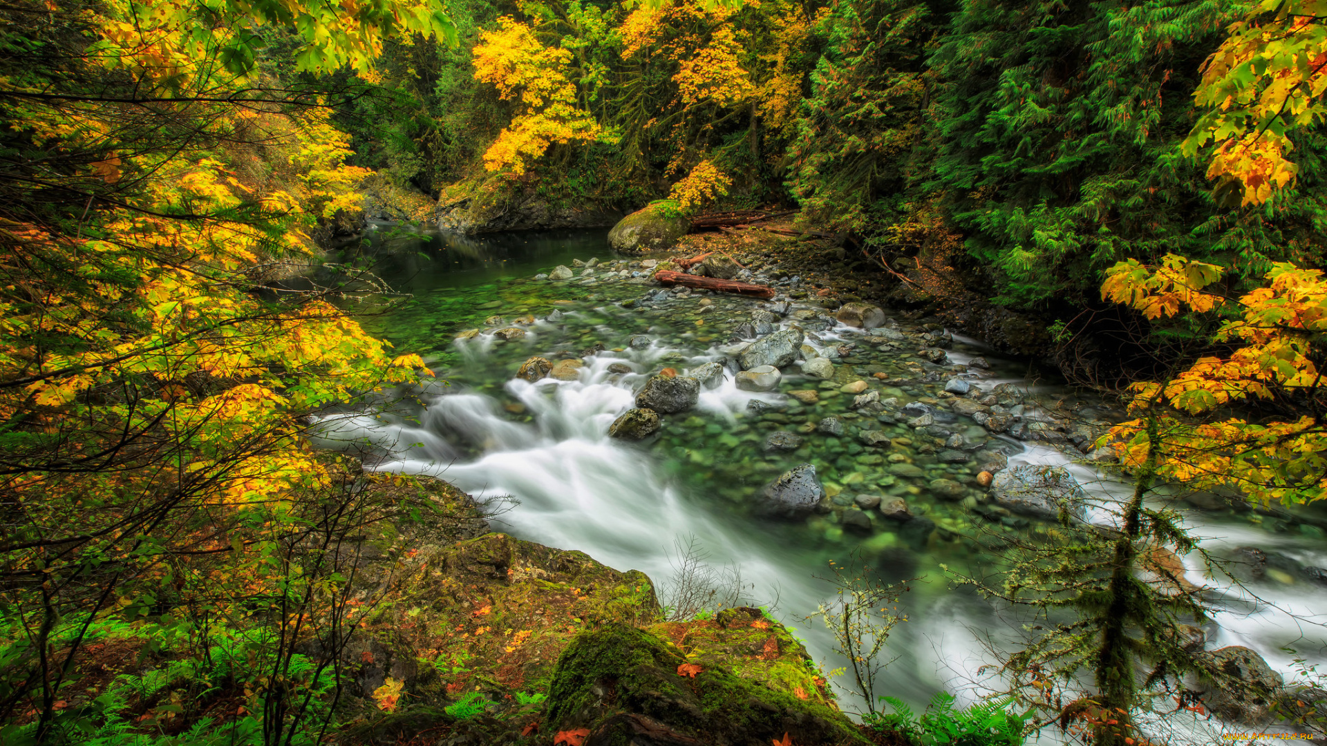 природа, реки, озера, простор