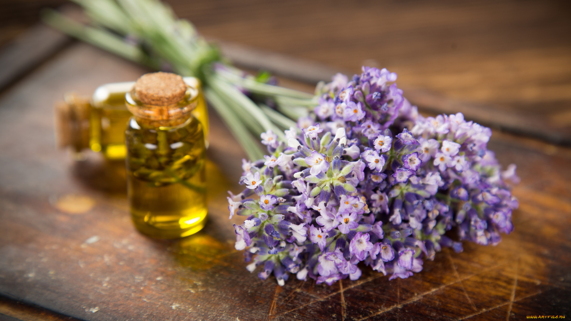 разное, косметические, средства, , духи, цветы, лаванда, масло