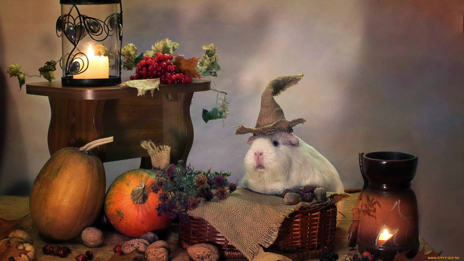 животные, морские, свинки, , хомяки, свечи, юмор, хэллоуин, тыквы, осень, октябрь, морские, свинки, композиция