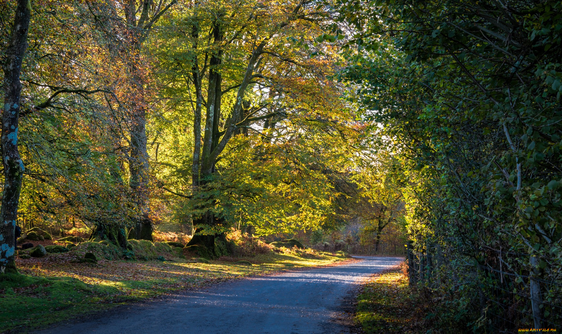 природа, дороги, простор