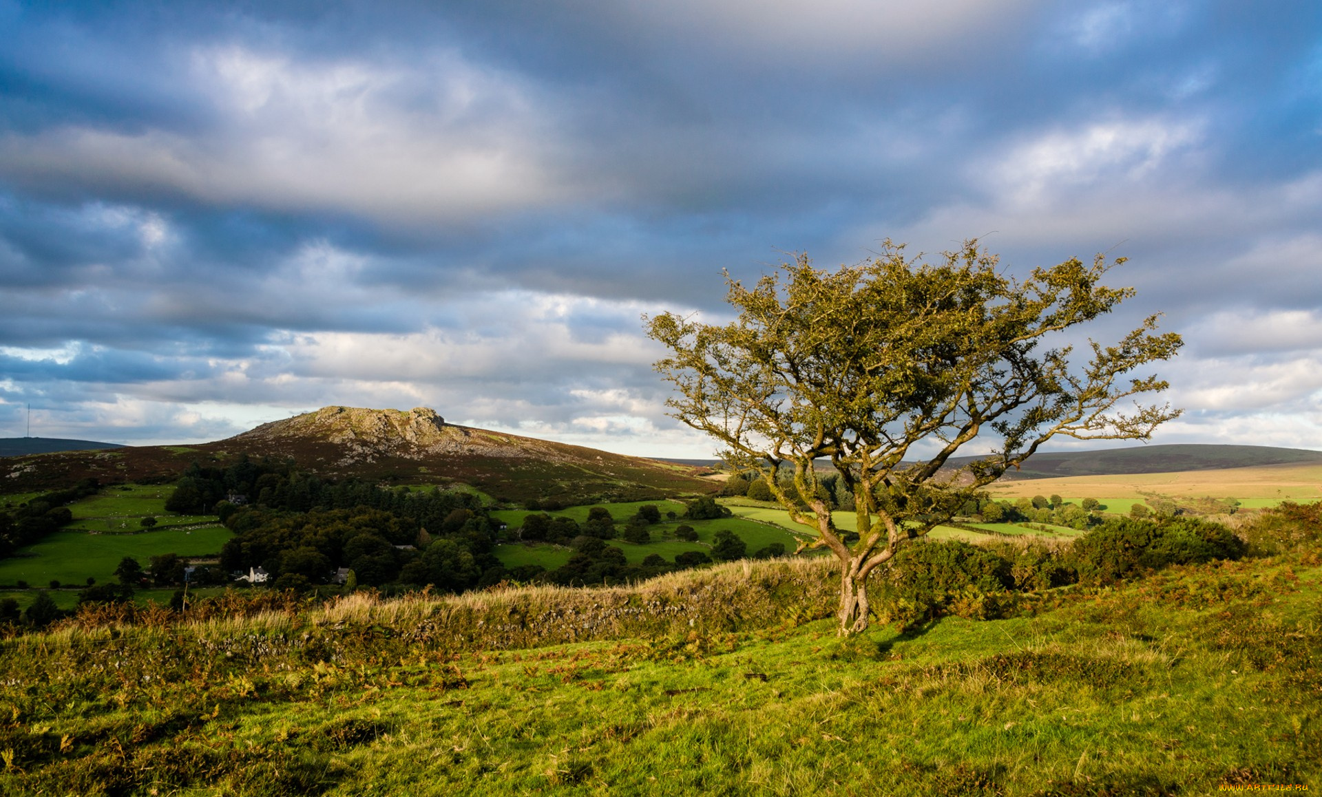 природа, пейзажи, простор