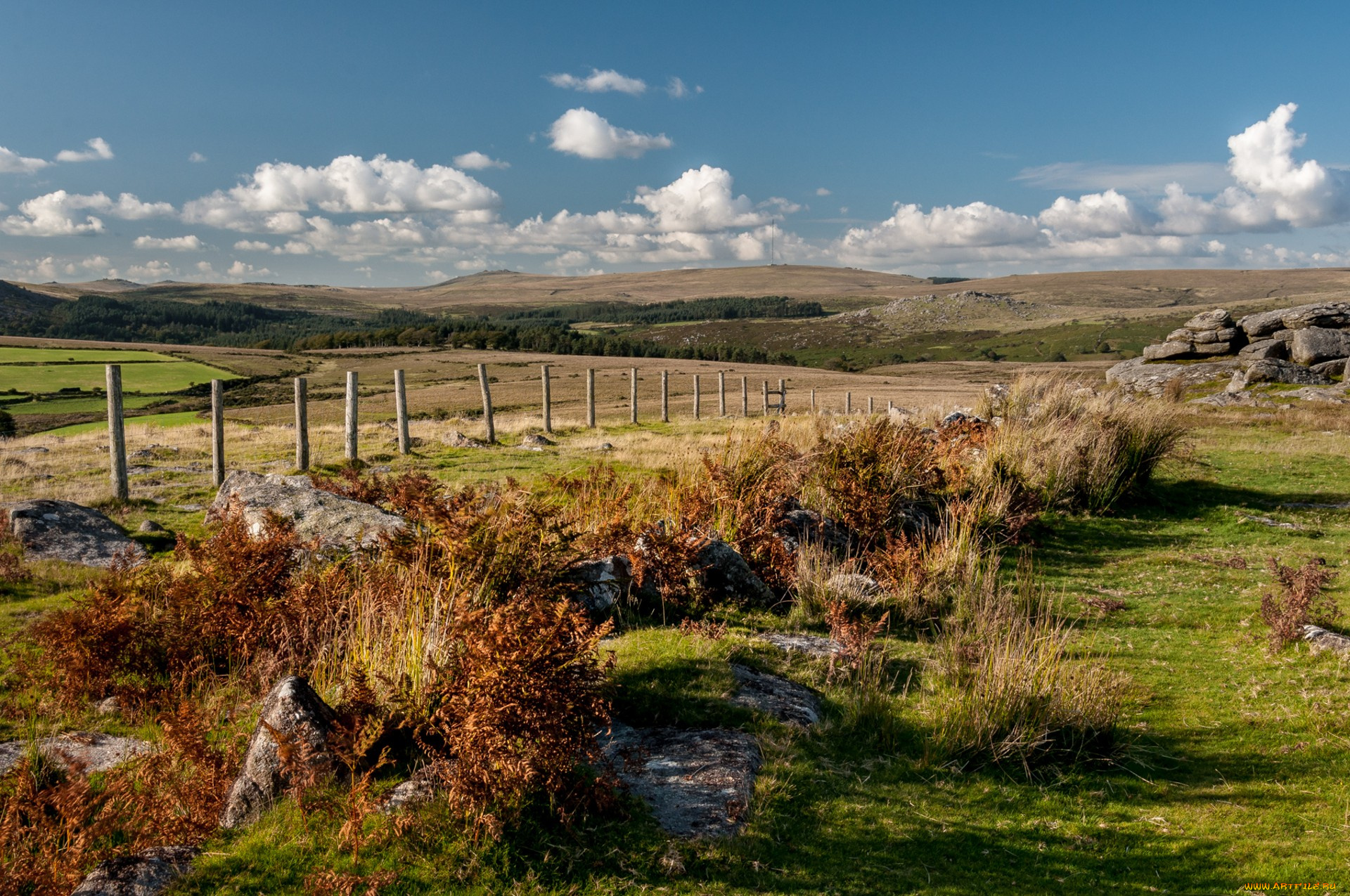 природа, пейзажи, простор