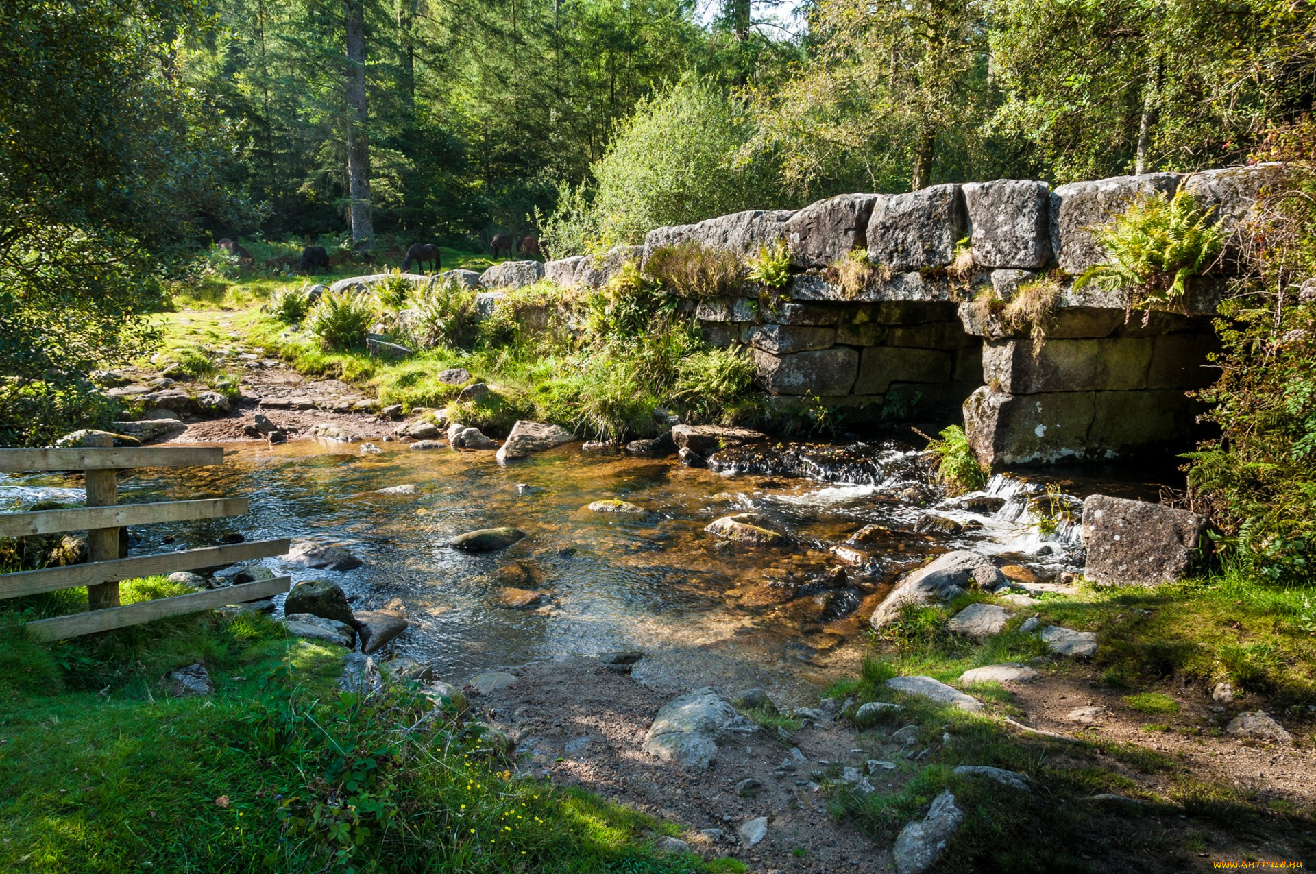 природа, реки, озера, простор