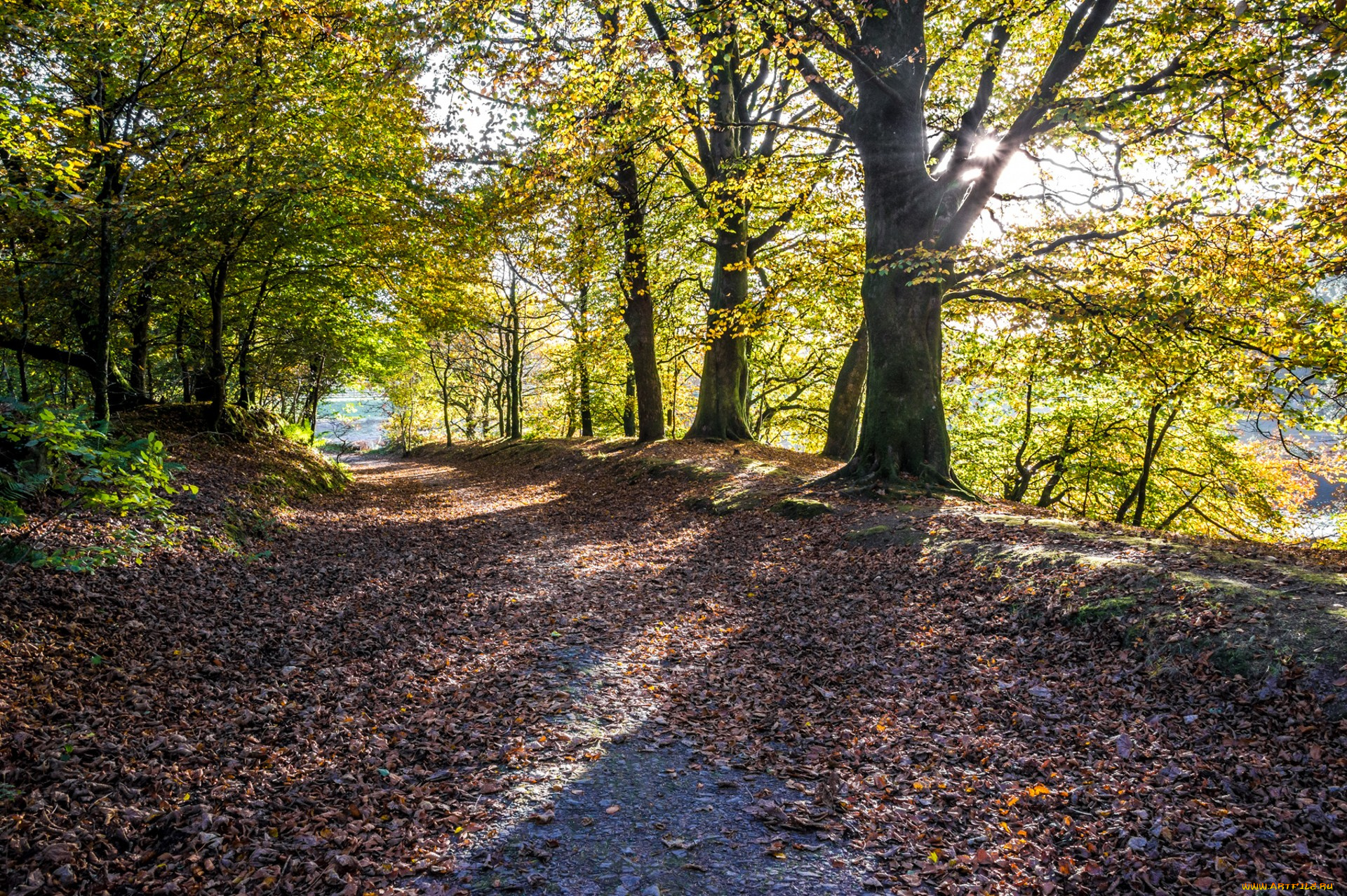 природа, дороги, простор