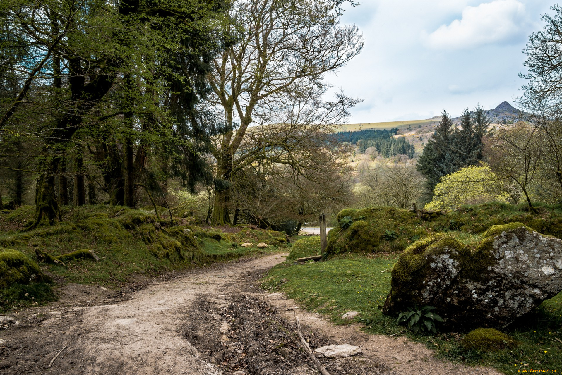 природа, дороги, простор