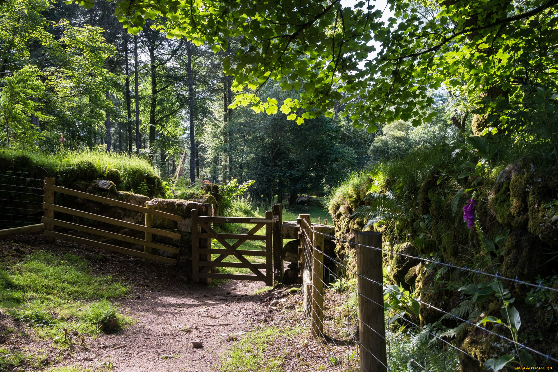 природа, дороги, простор