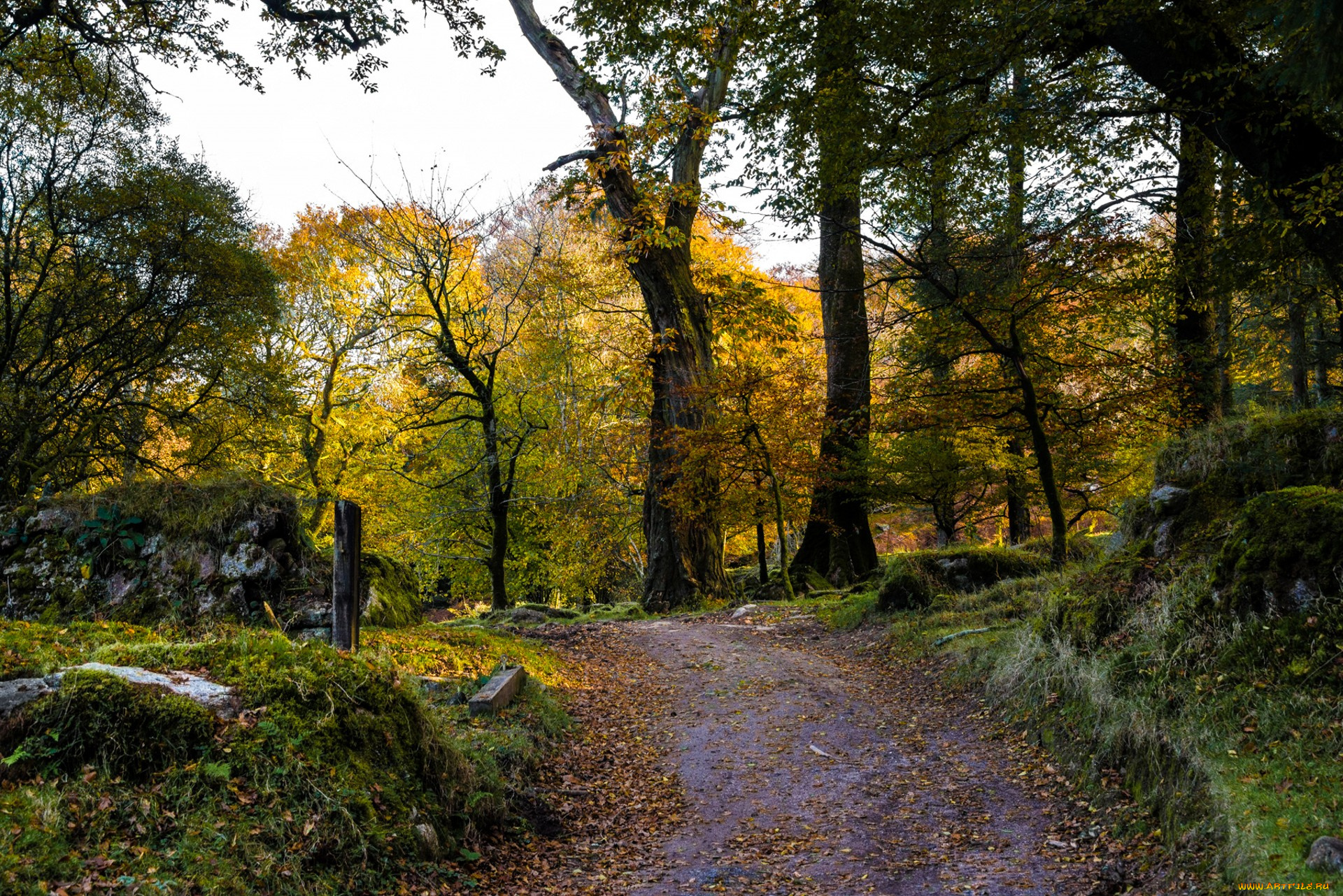 природа, дороги, простор