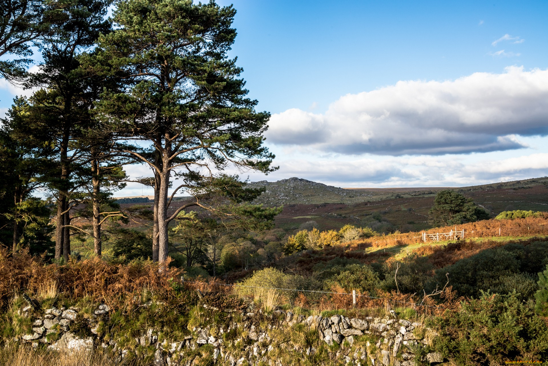 природа, пейзажи, простор