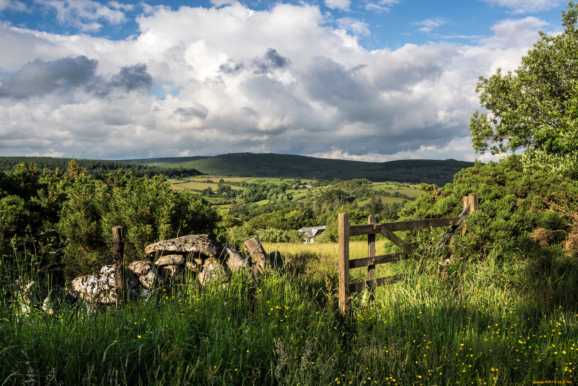 природа, пейзажи, простор