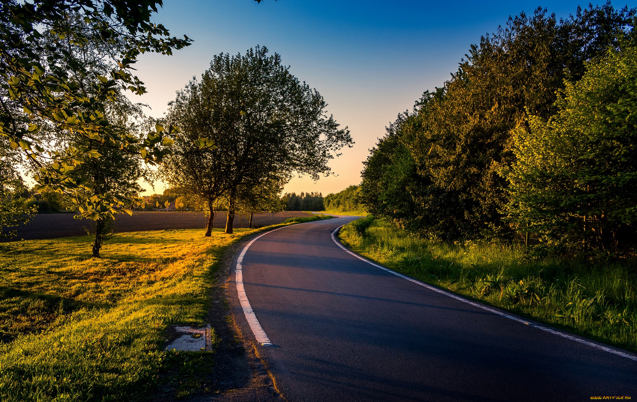 природа, дороги, простор