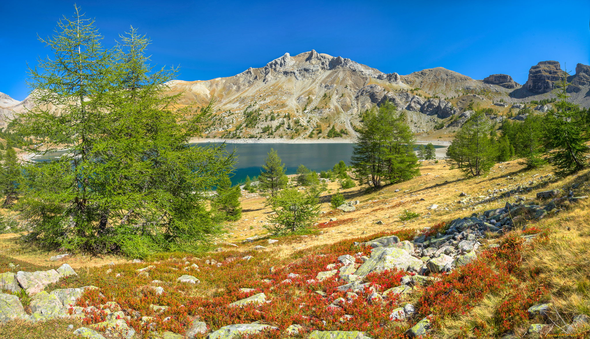 природа, реки, озера, простор