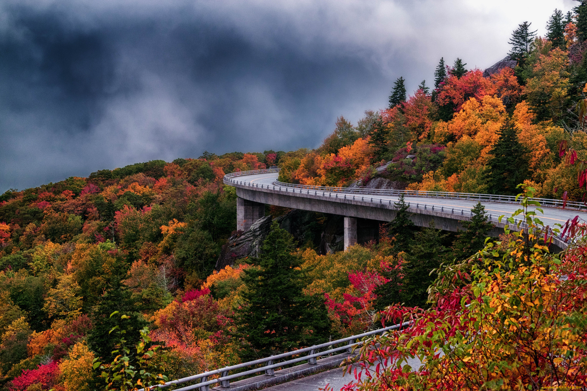 природа, дороги, простор