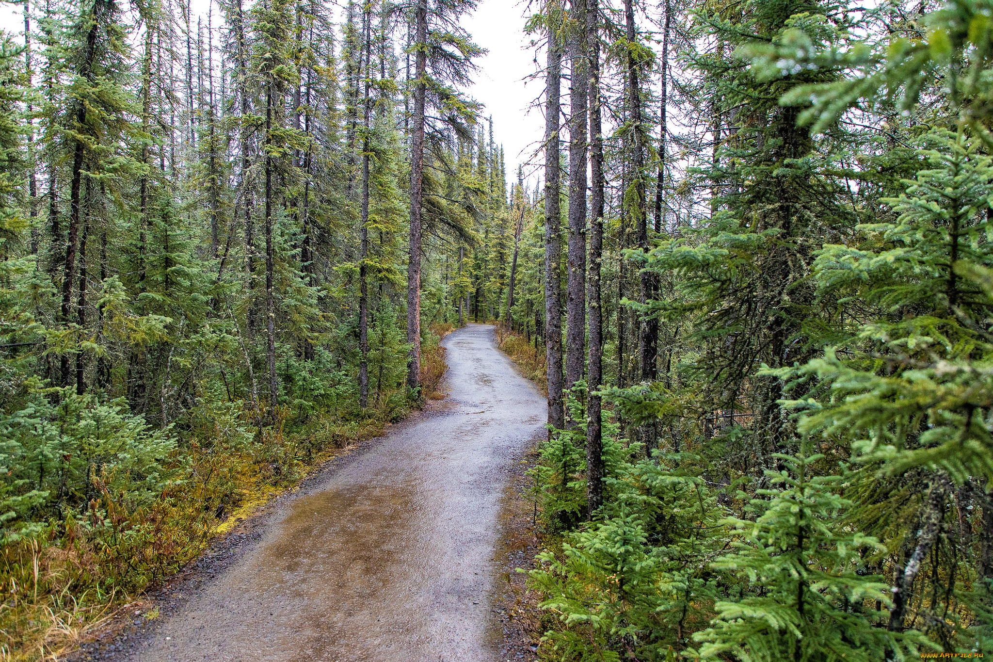 природа, дороги, простор