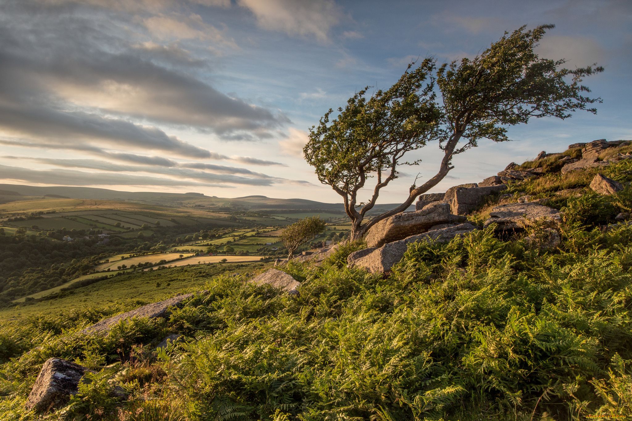 природа, пейзажи, простор