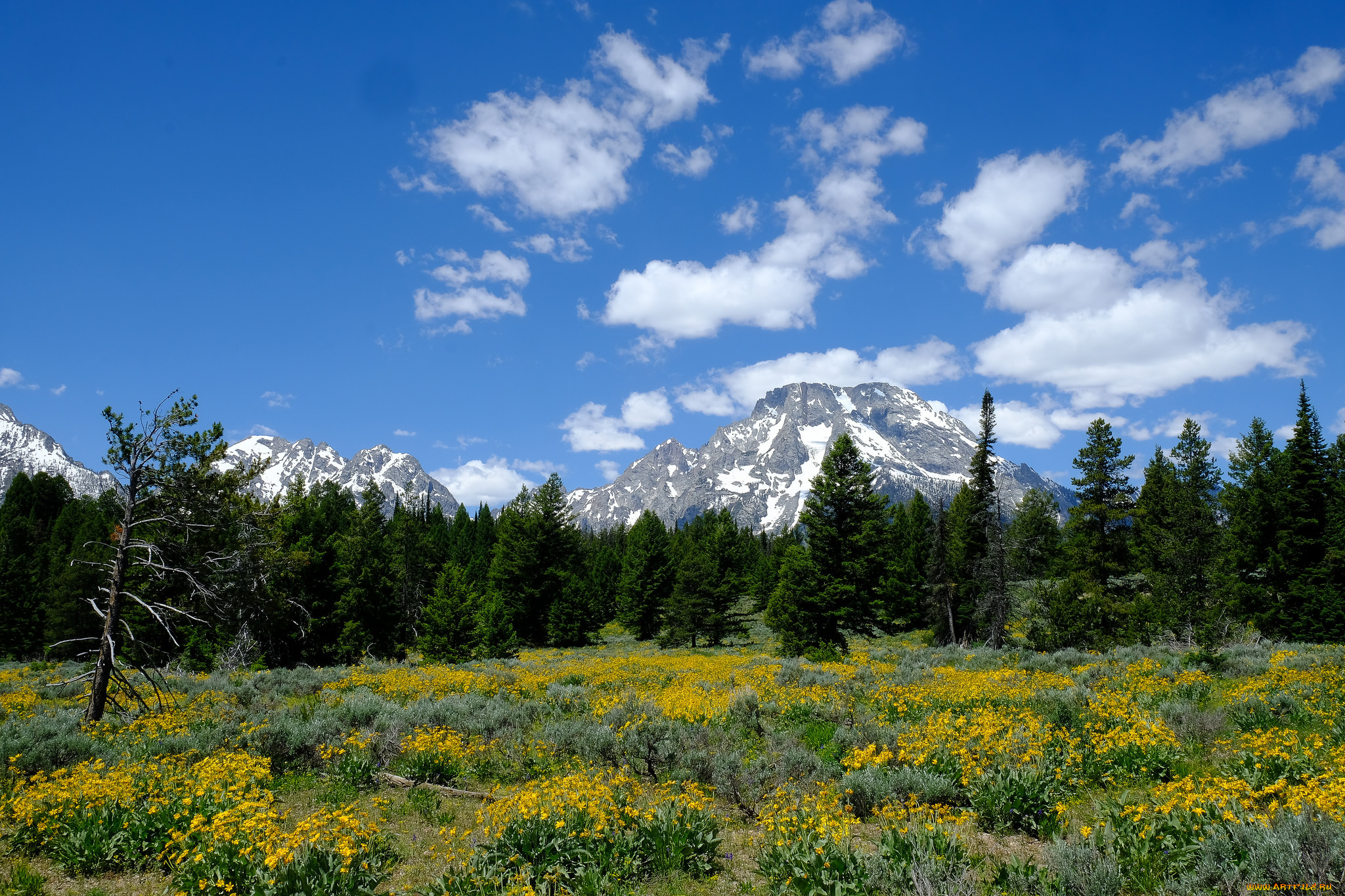 природа, пейзажи, простор