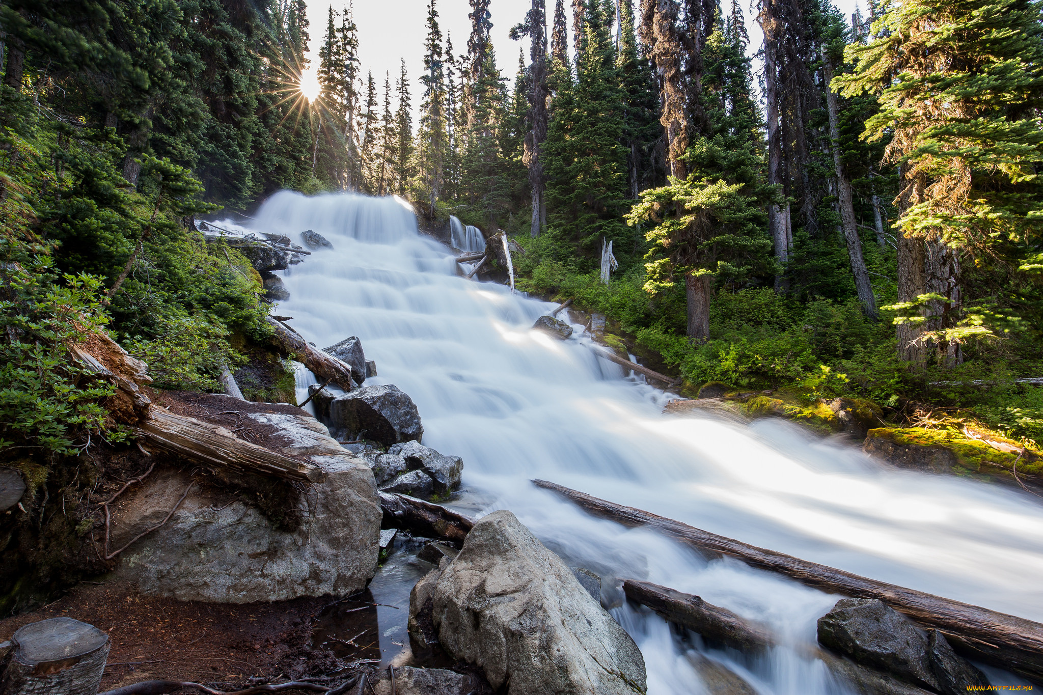 природа, реки, озера, простор