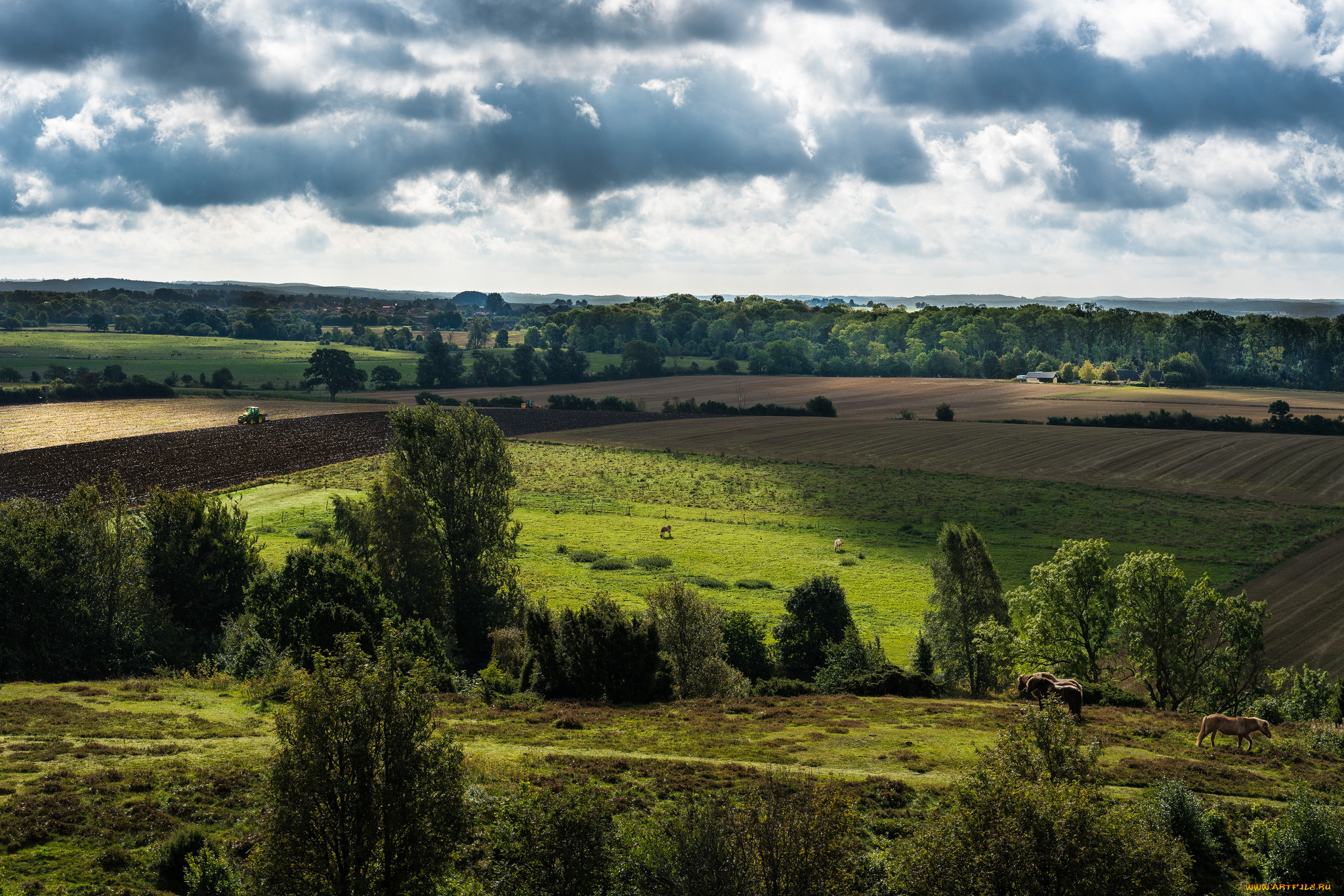 природа, пейзажи, простор
