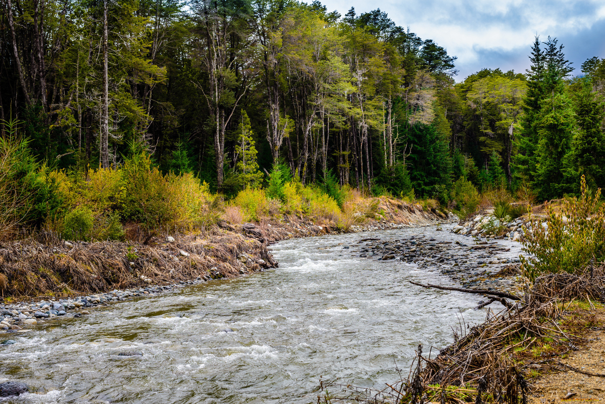 природа, реки, озера, простор