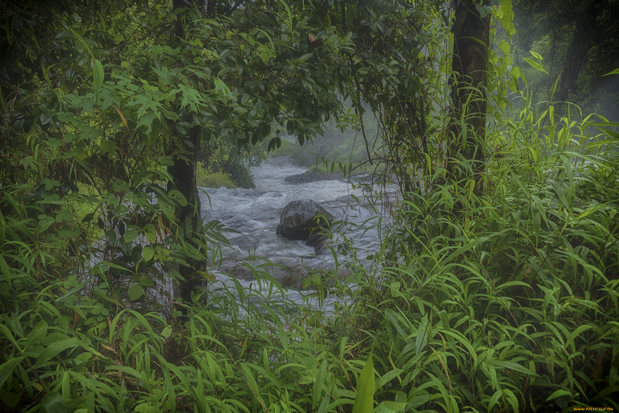 природа, реки, озера, простор