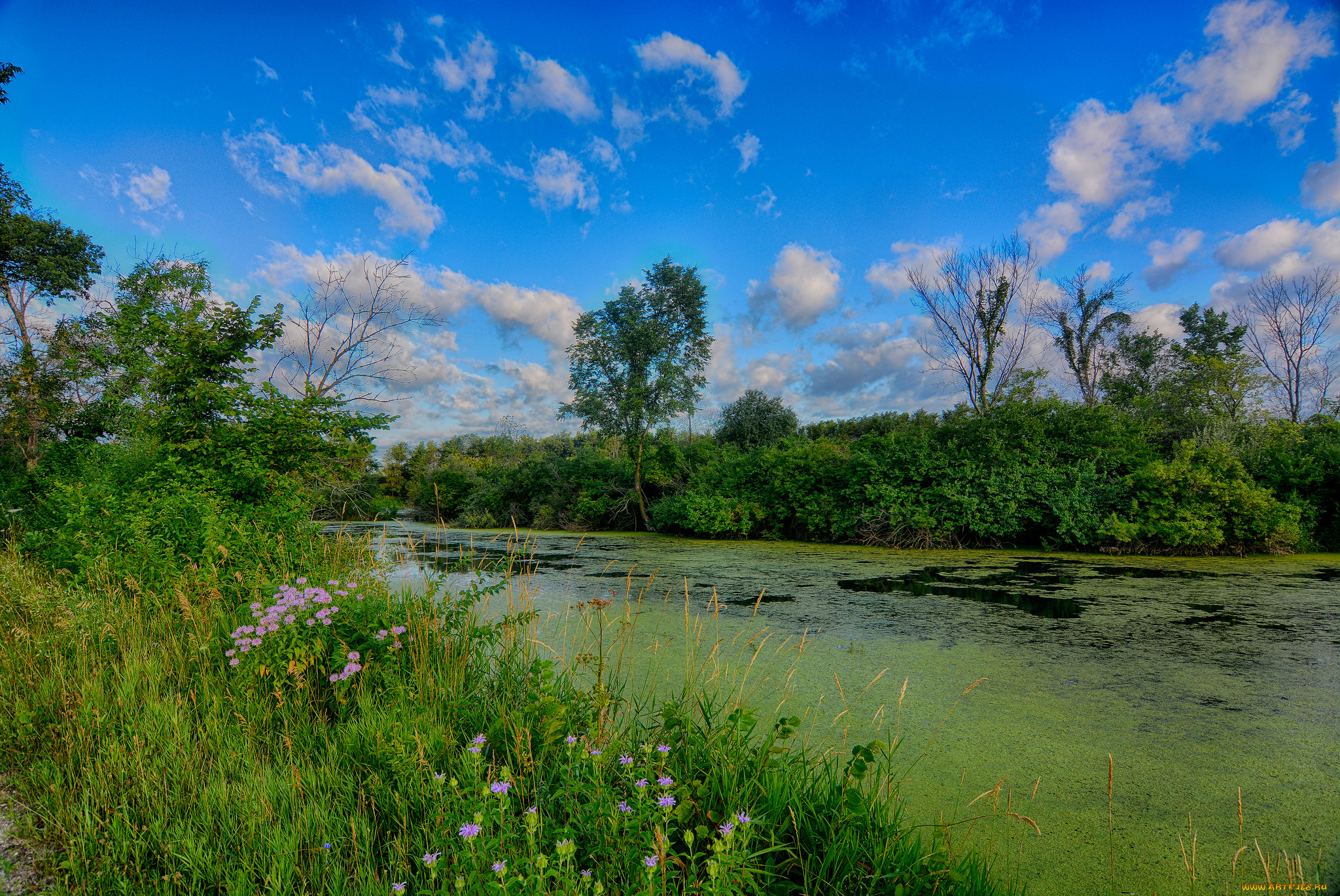 природа, реки, озера, простор