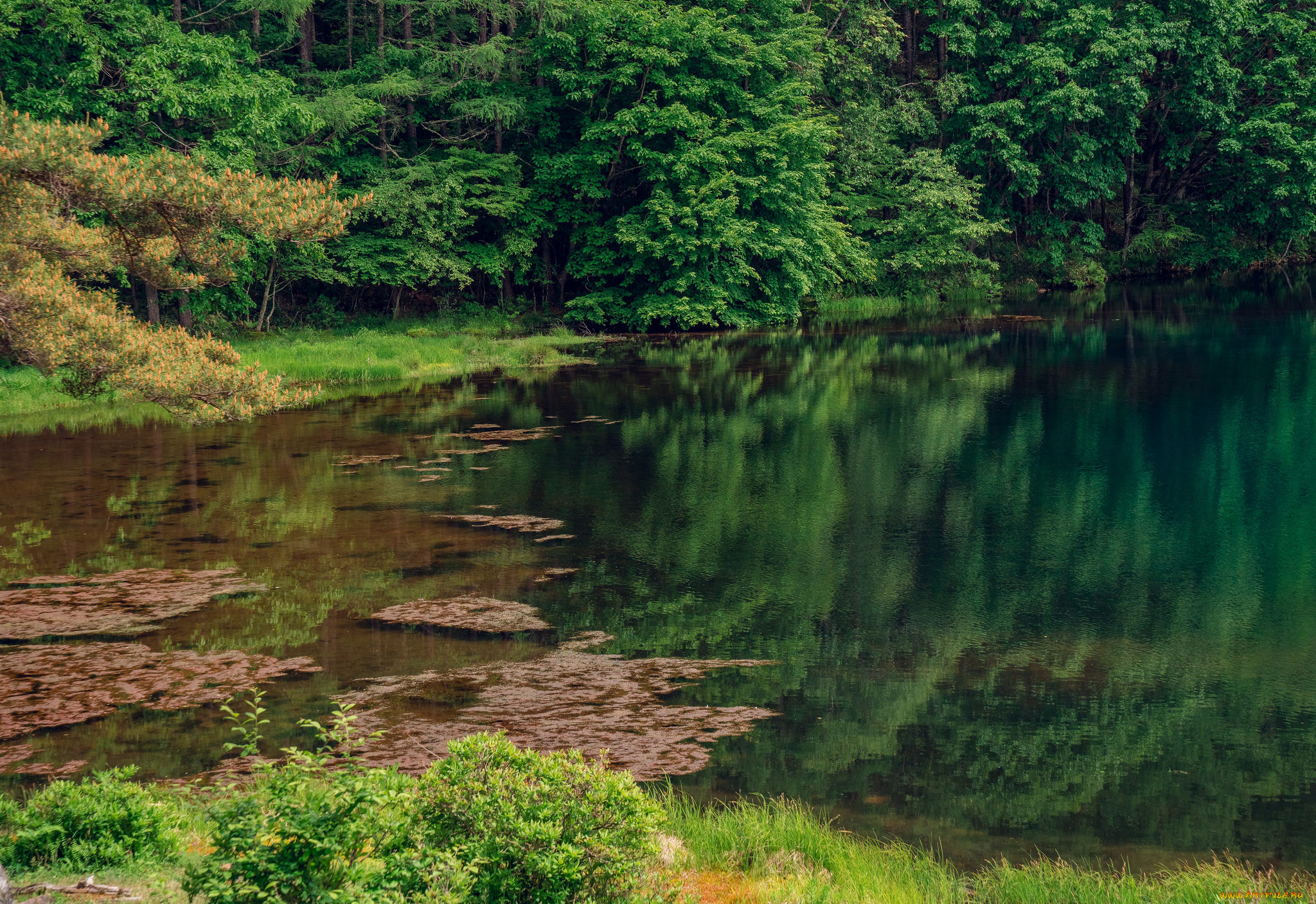 природа, реки, озера, простор