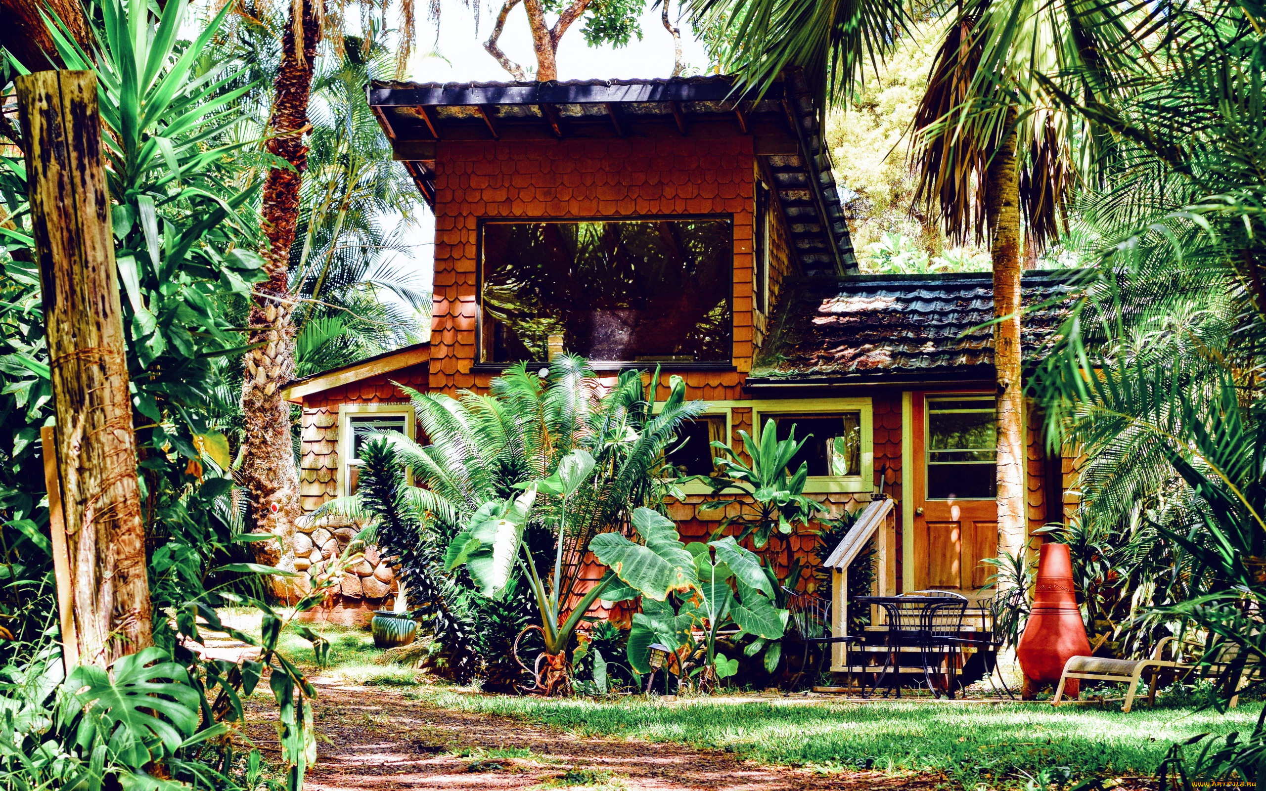 города, -, здания, , дома, пальмы, бунгало