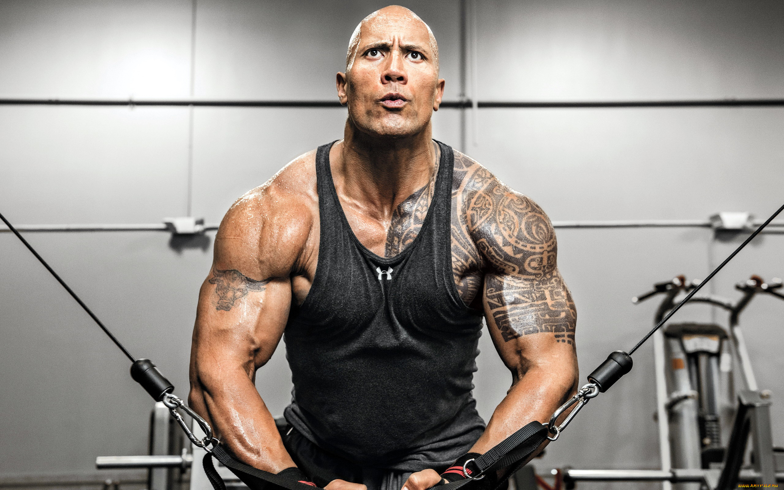 мужчины, dwayne, johnson, , the, rock, тату, атлет