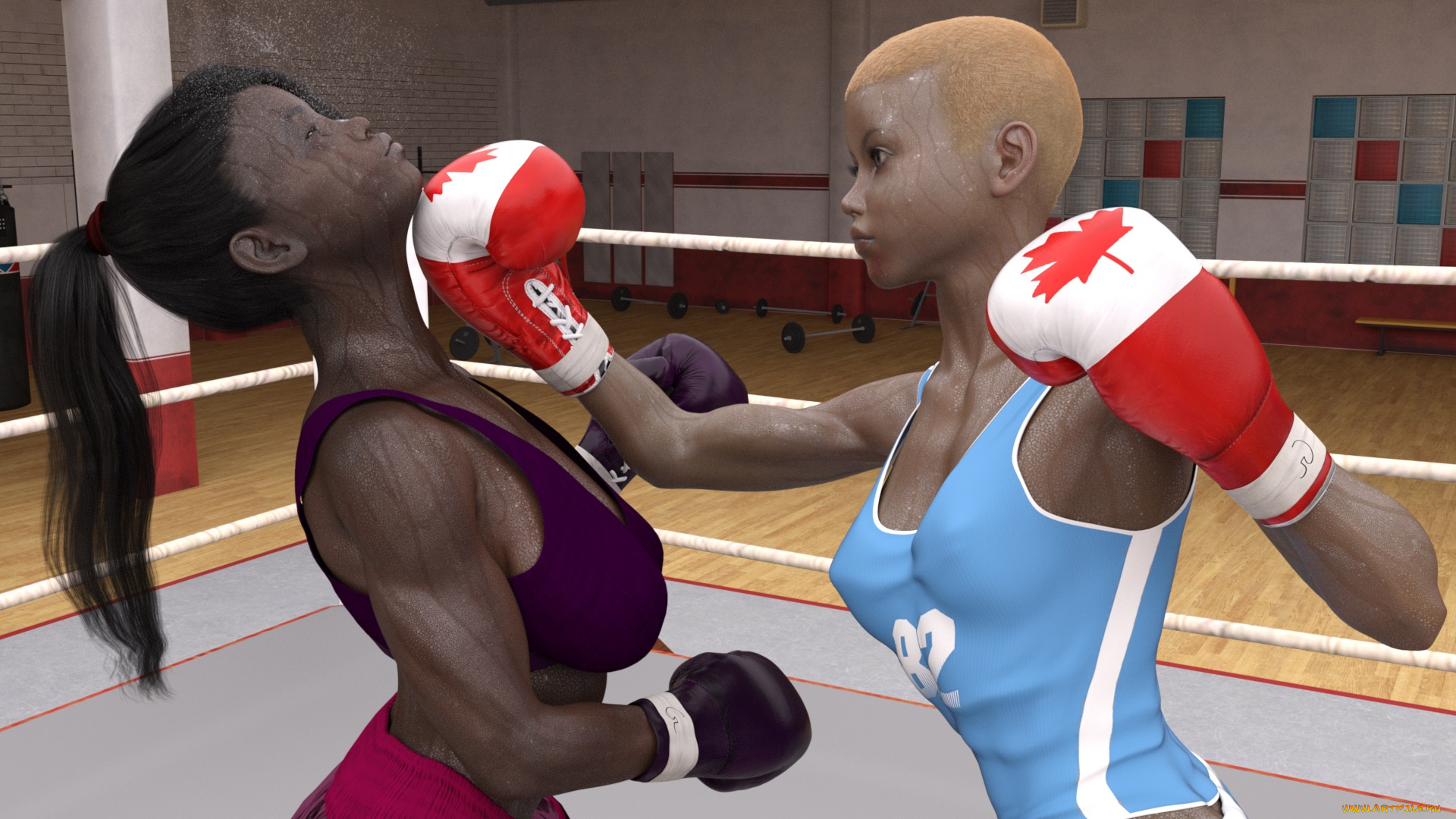 3д, графика, спорт, , sport, девушки, взгляд, фон, ринг, бокс