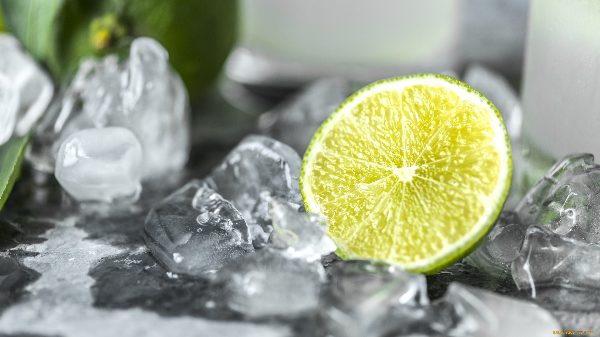 еда, цитрусы, closeup, citrus, beverage