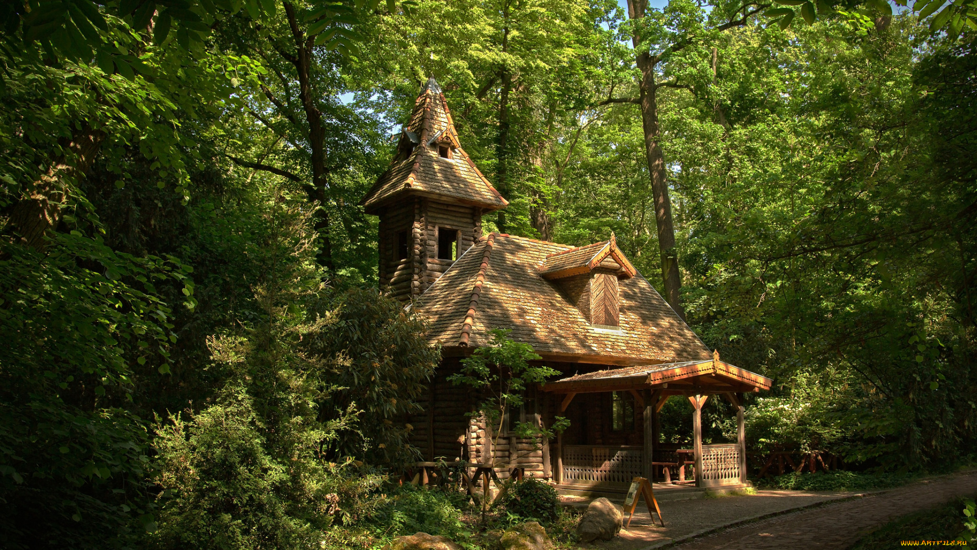 города, -, здания, , дома, лес